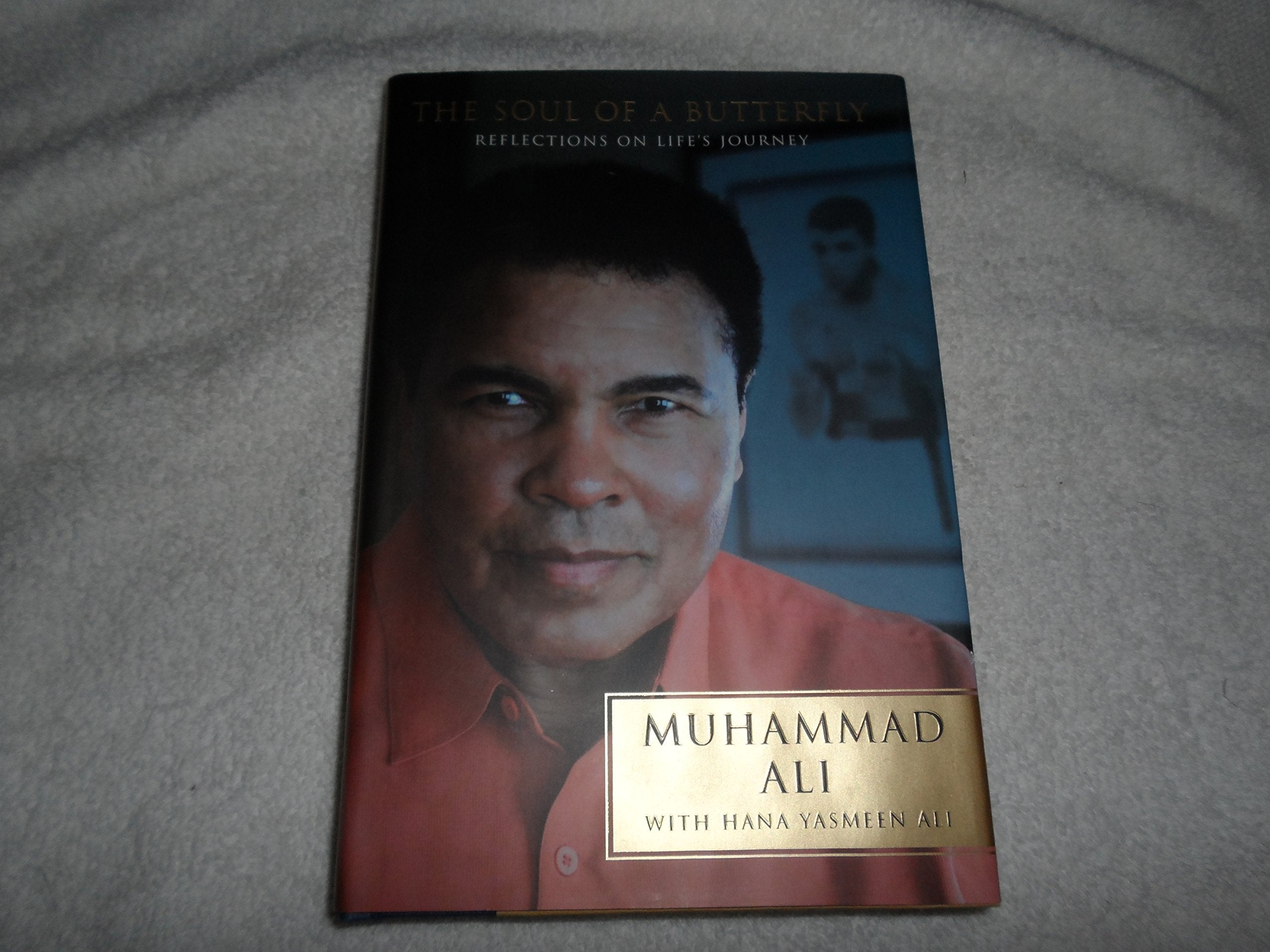 The Soul of a Butterfly: Reflections on Life's Journey,Used