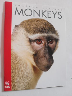 Amazing Animals: Monkeys