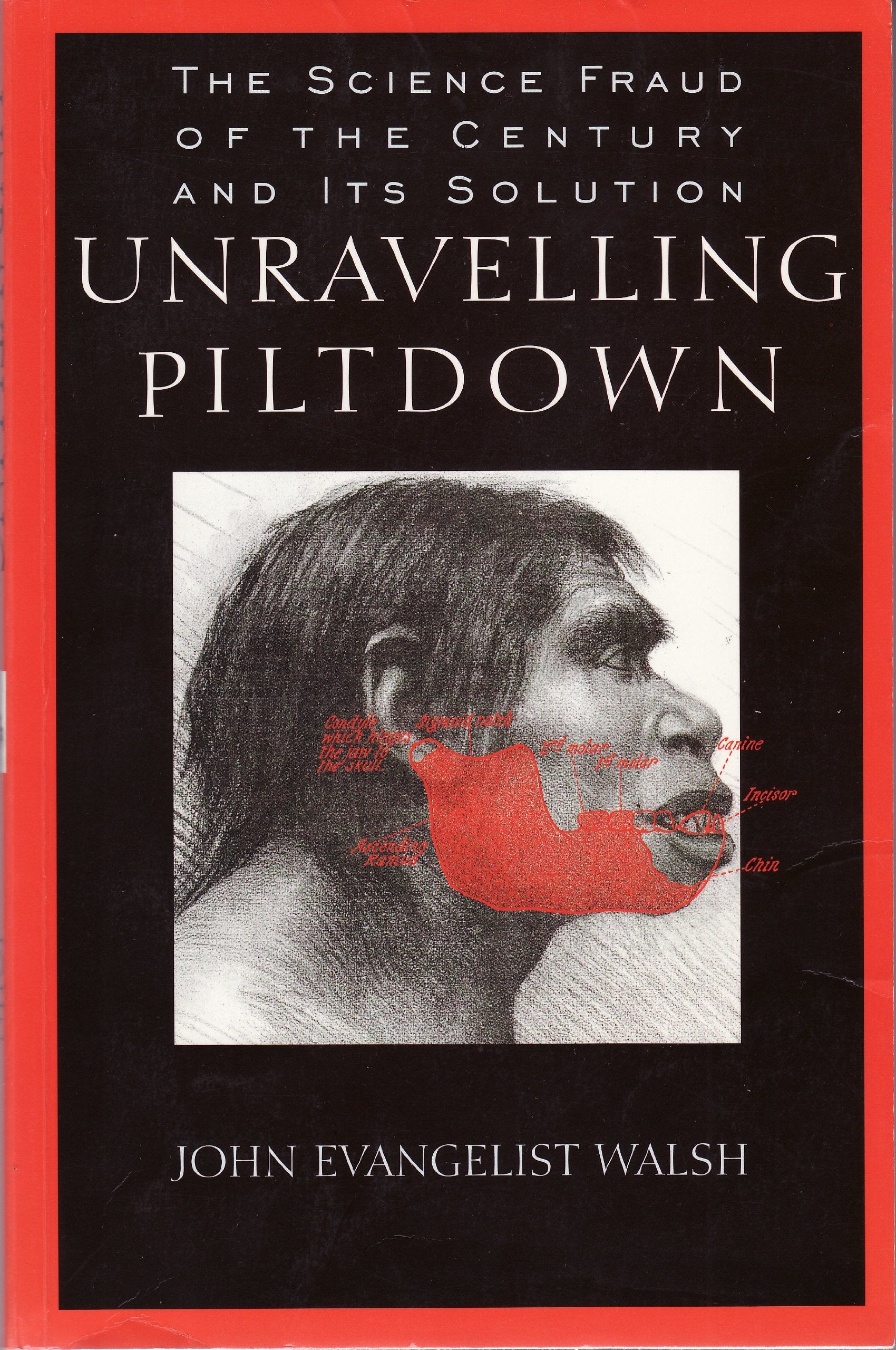 Unraveling Piltdown:: The Science Fraud of the Century and Its Solution,Used