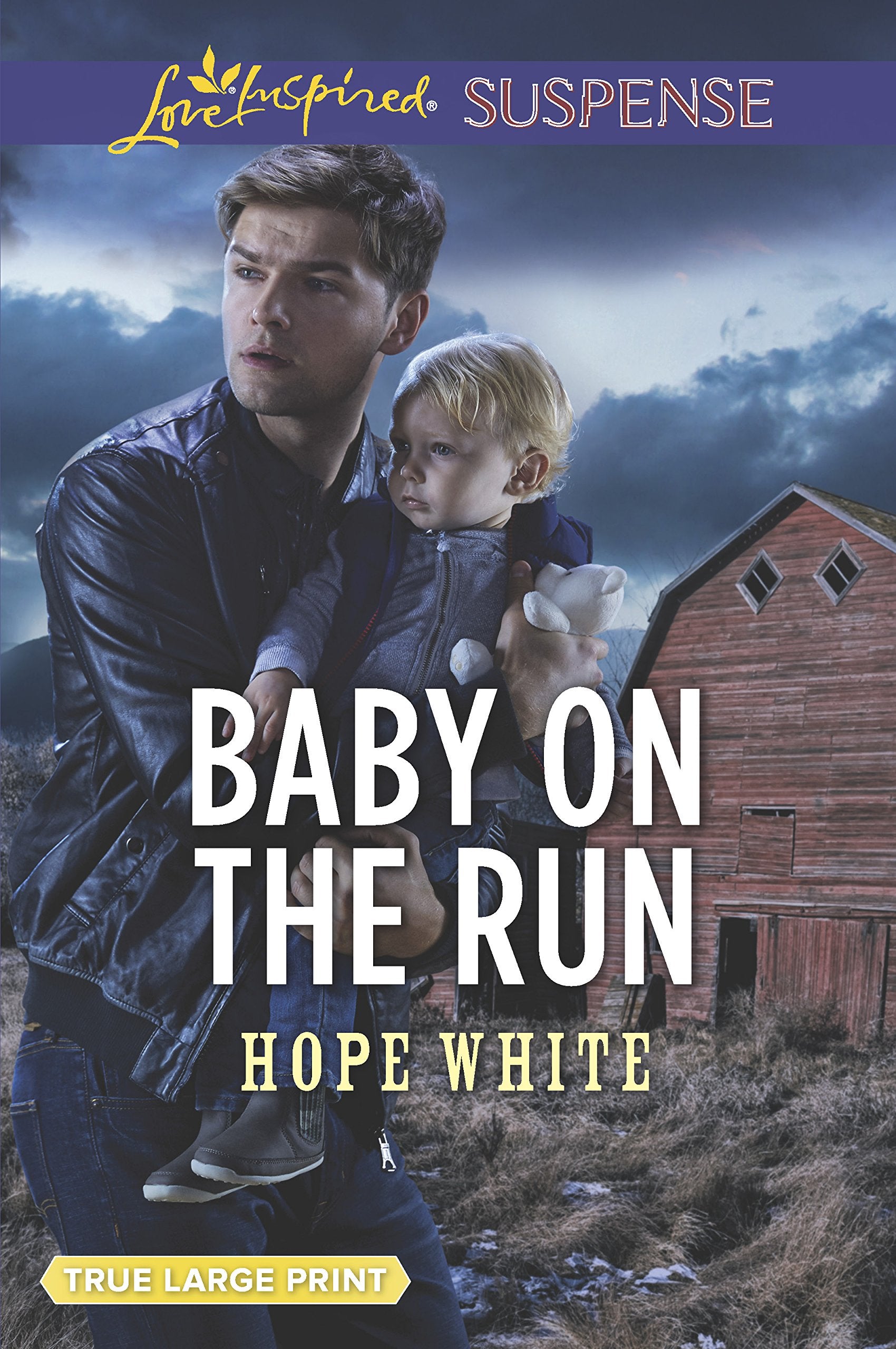 Baby on the Run (The Baby Protectors),Used