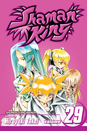 Shaman King, Vol. 29