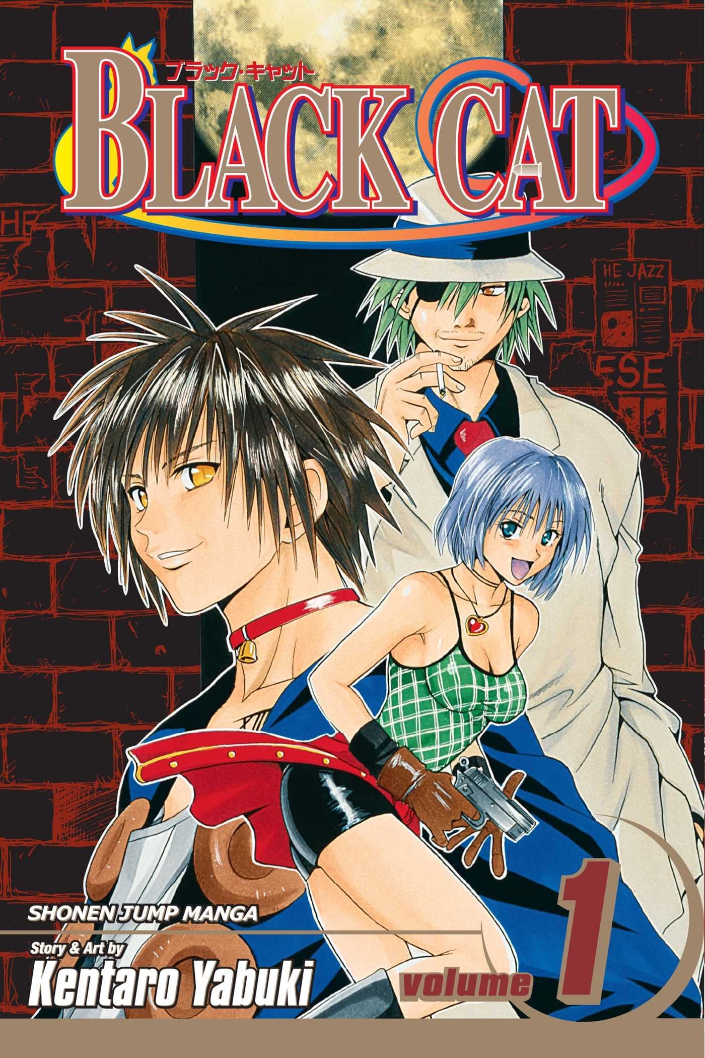 Black Cat, Vol. 1,Used