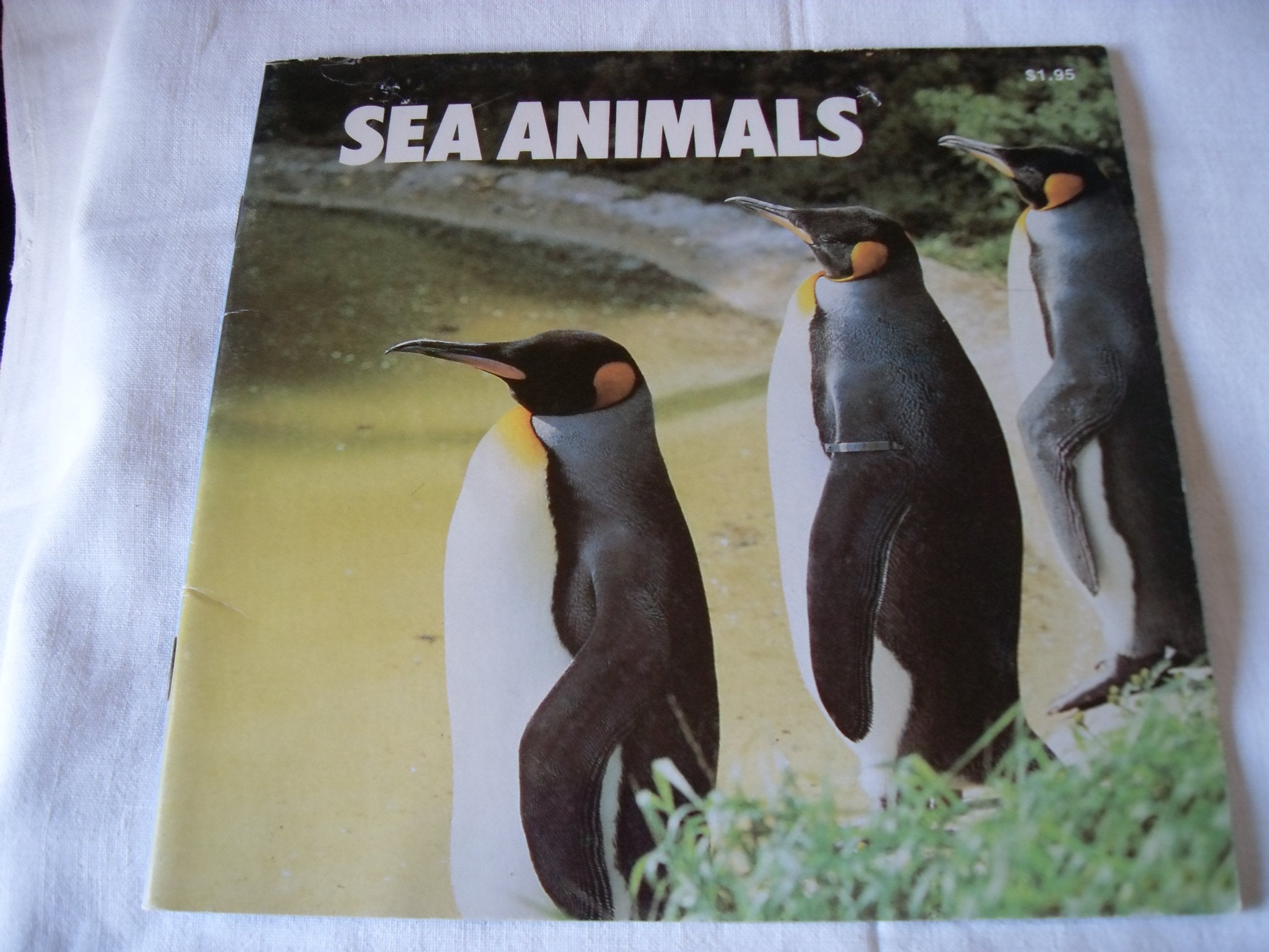 Sea Animals,Used
