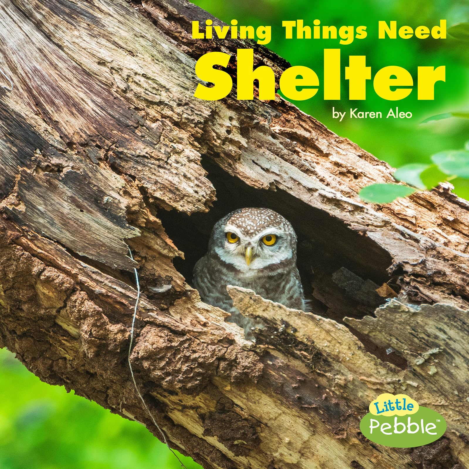 Living Things Need Shelter (What Living Things Need),Used