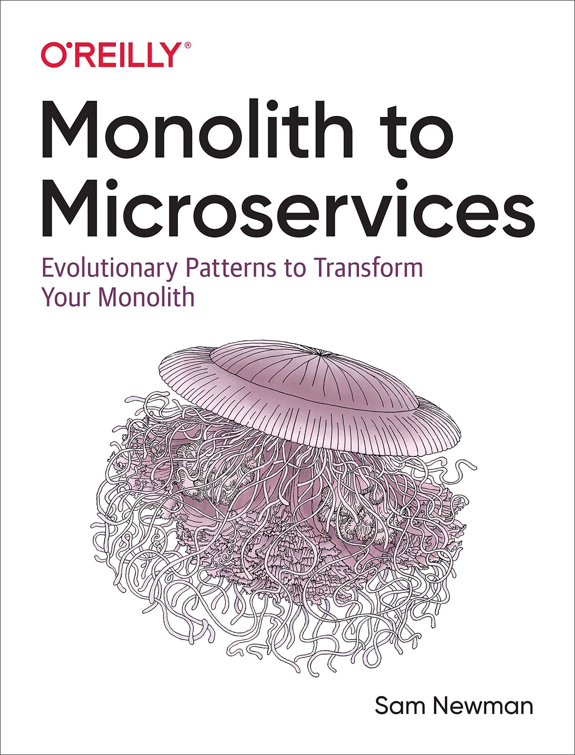 Monolith to Microservices: Evolutionary Patterns to Transform Your Monolith,New