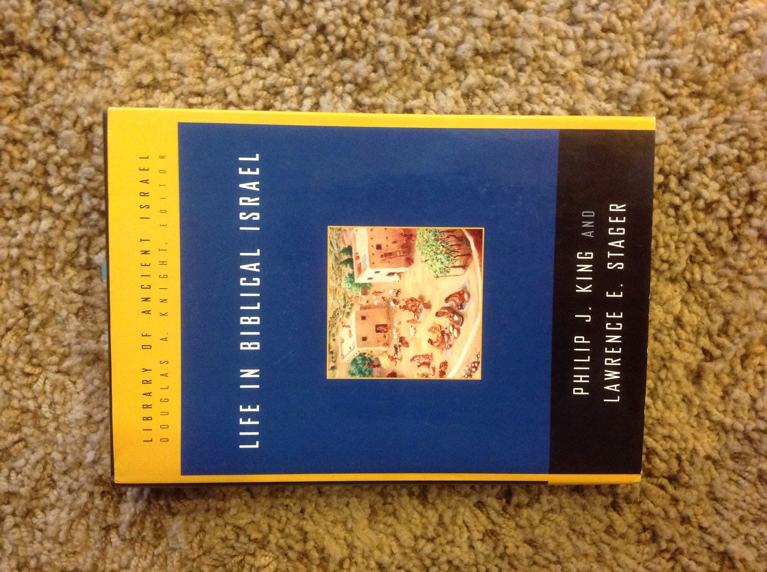 Life in Biblical Israel (Library of Ancient Israel),Used
