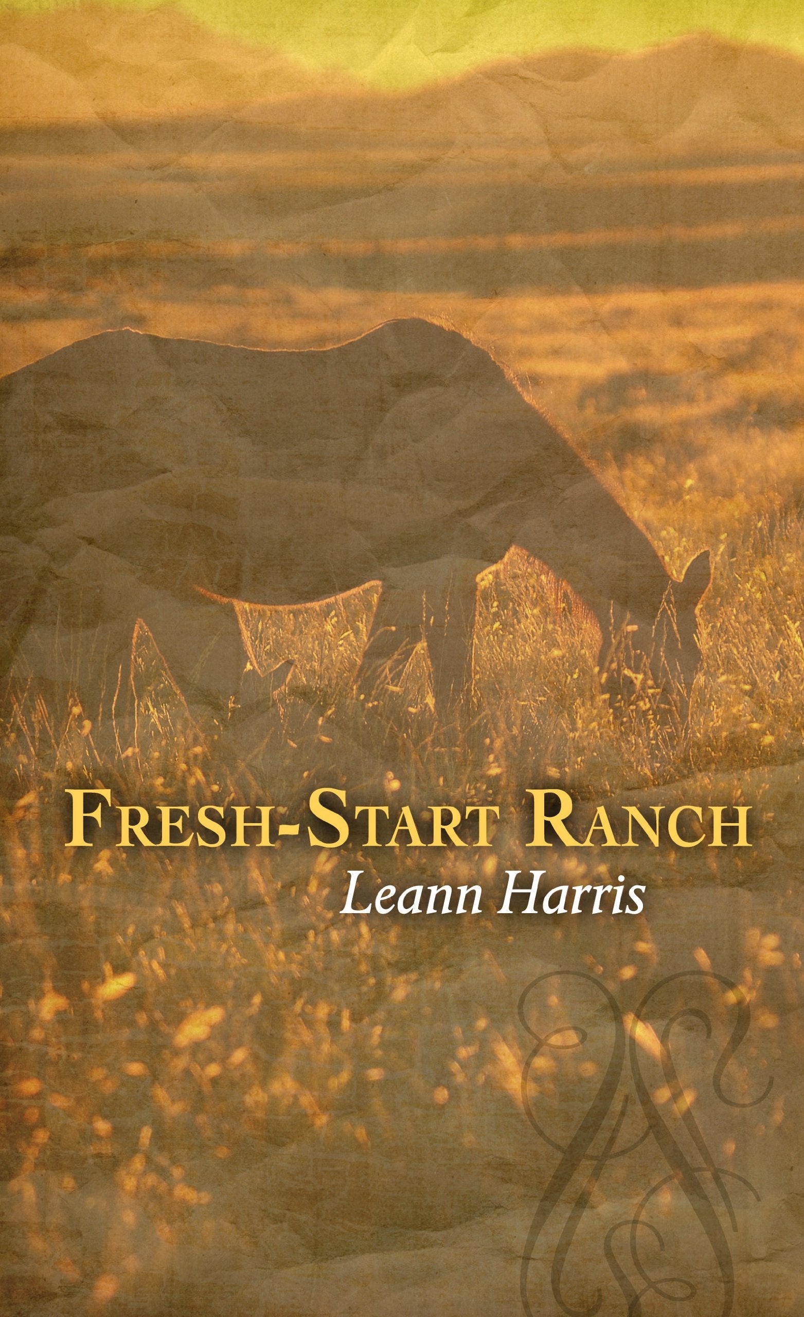 FreshStart Ranch (Thorndike Large Print Gentle Romance),Used