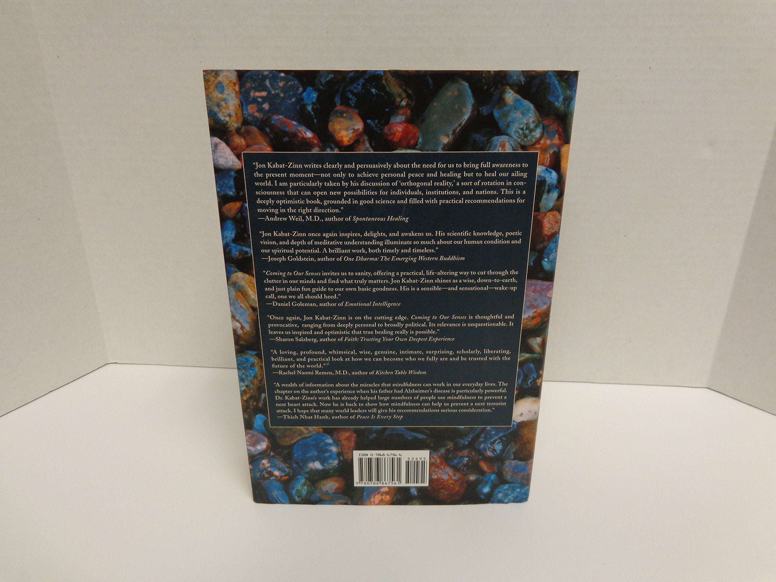 Coming To Our Senses: Healing Ourselves And The World Through Mindfulness,Used