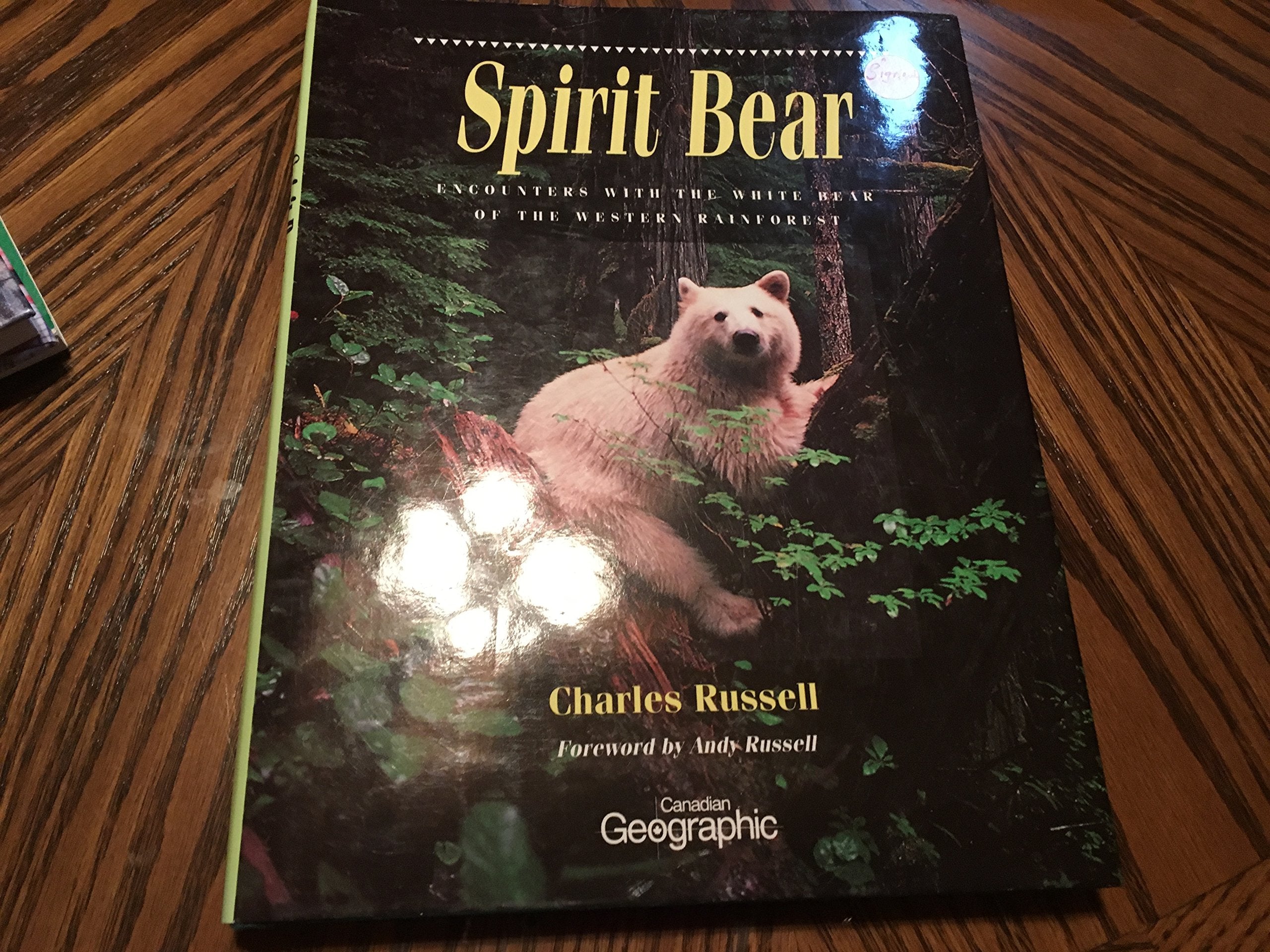 Spirit Bear: Encounters With The White Bear Of The Western Rainforest