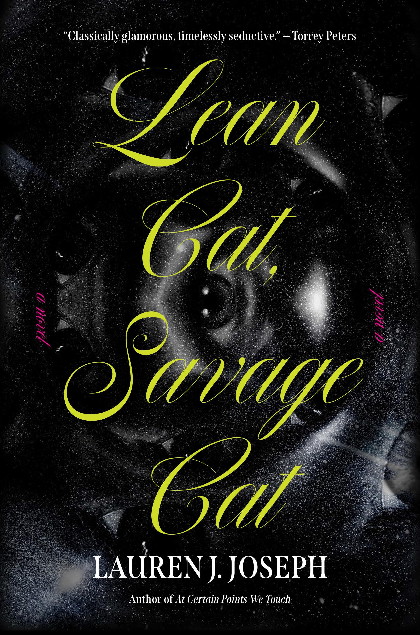 Lean Cat, Savage Cat: A Novel