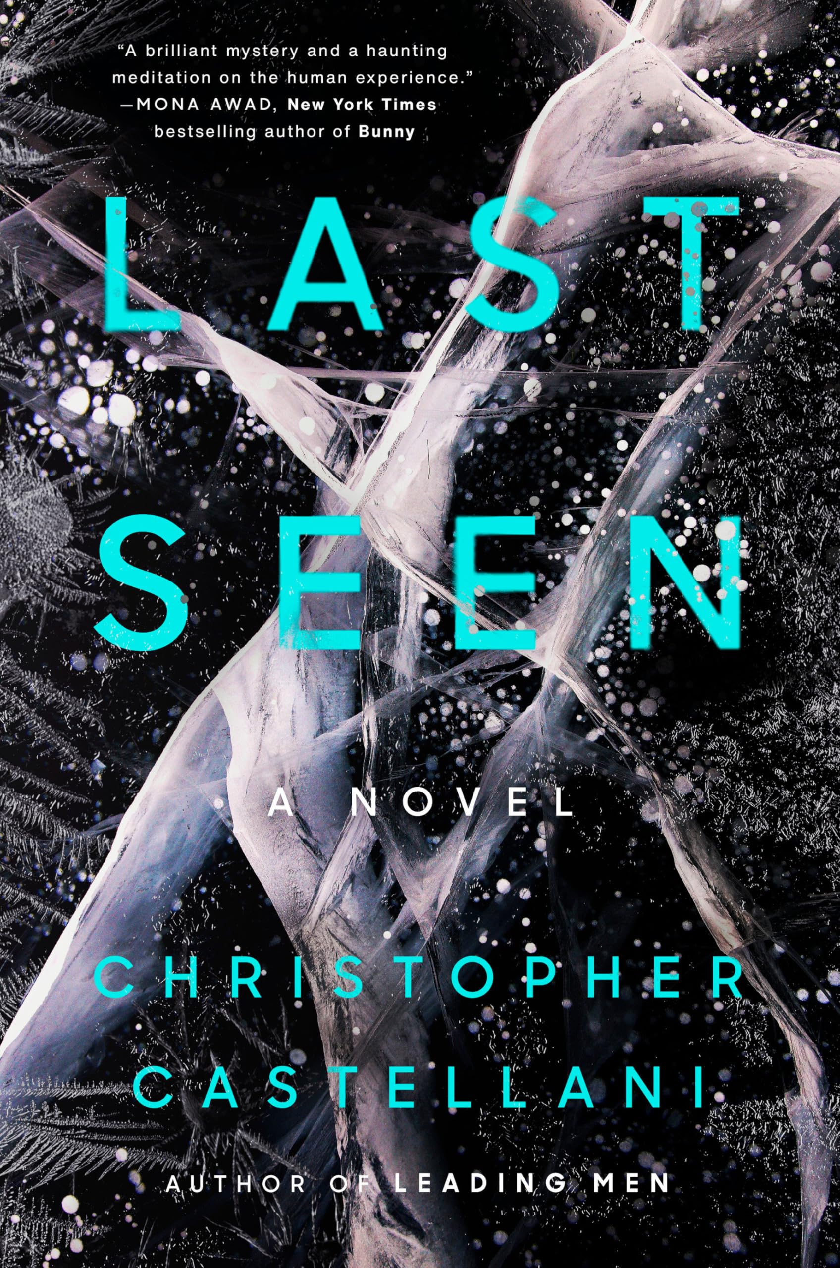 Last Seen: A Novel