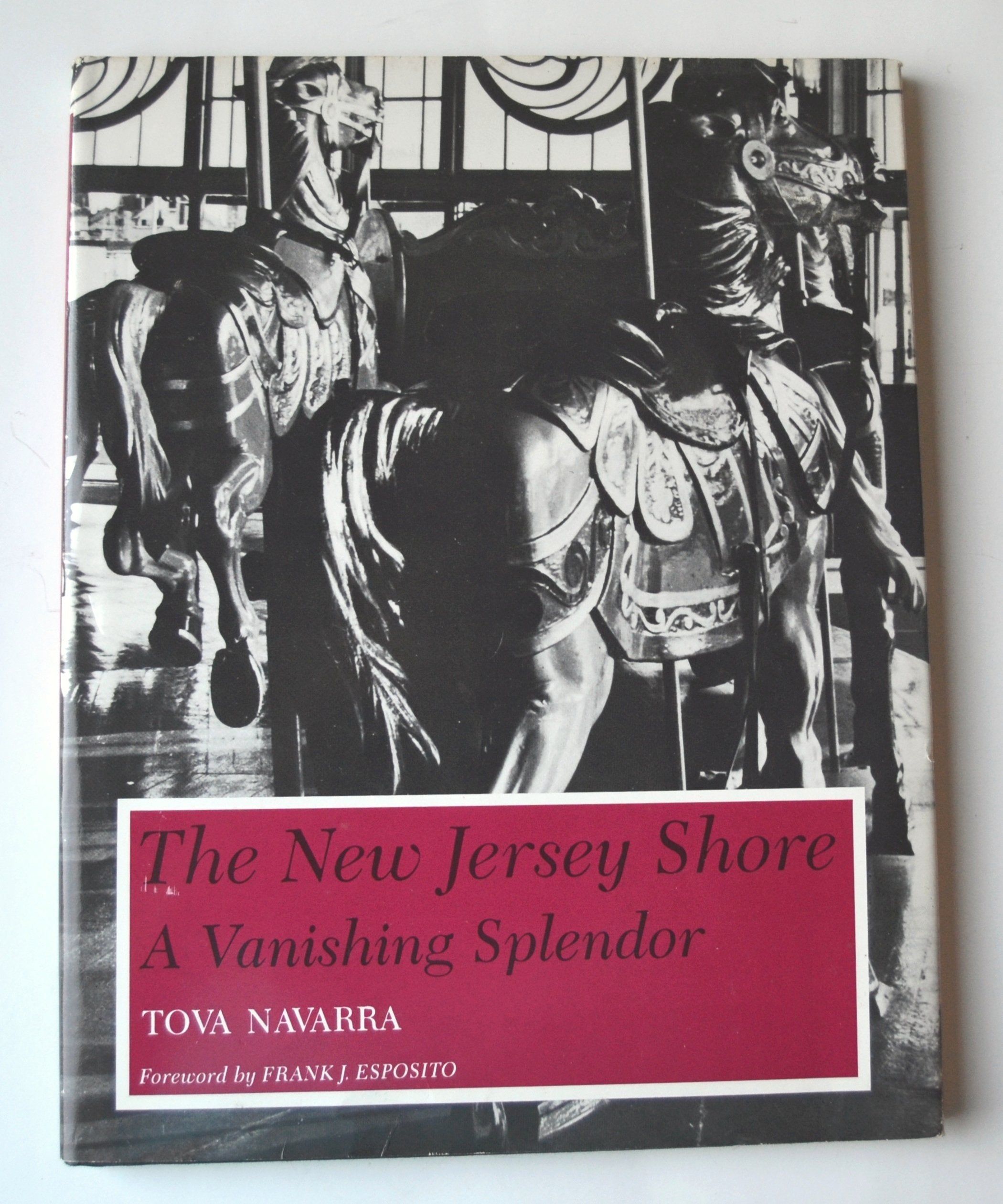 The New Jersey Shore: A Vanishing Splendor,Used