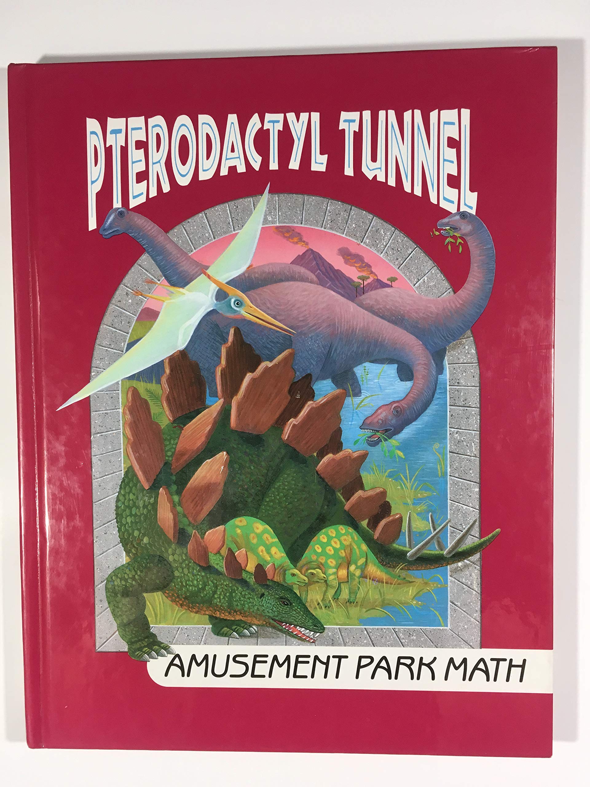 Pterodactyl Tunnel: Amusement Park Math (I Love Math, No 10),Used