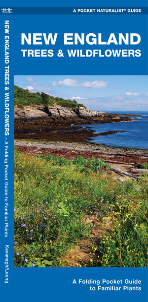 New England Trees & Wildflowers: A Folding Pocket Guide to Familiar Plants (Wildlife and Nature Identification),Used