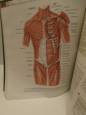 Human Anatomy (4Th Edition)