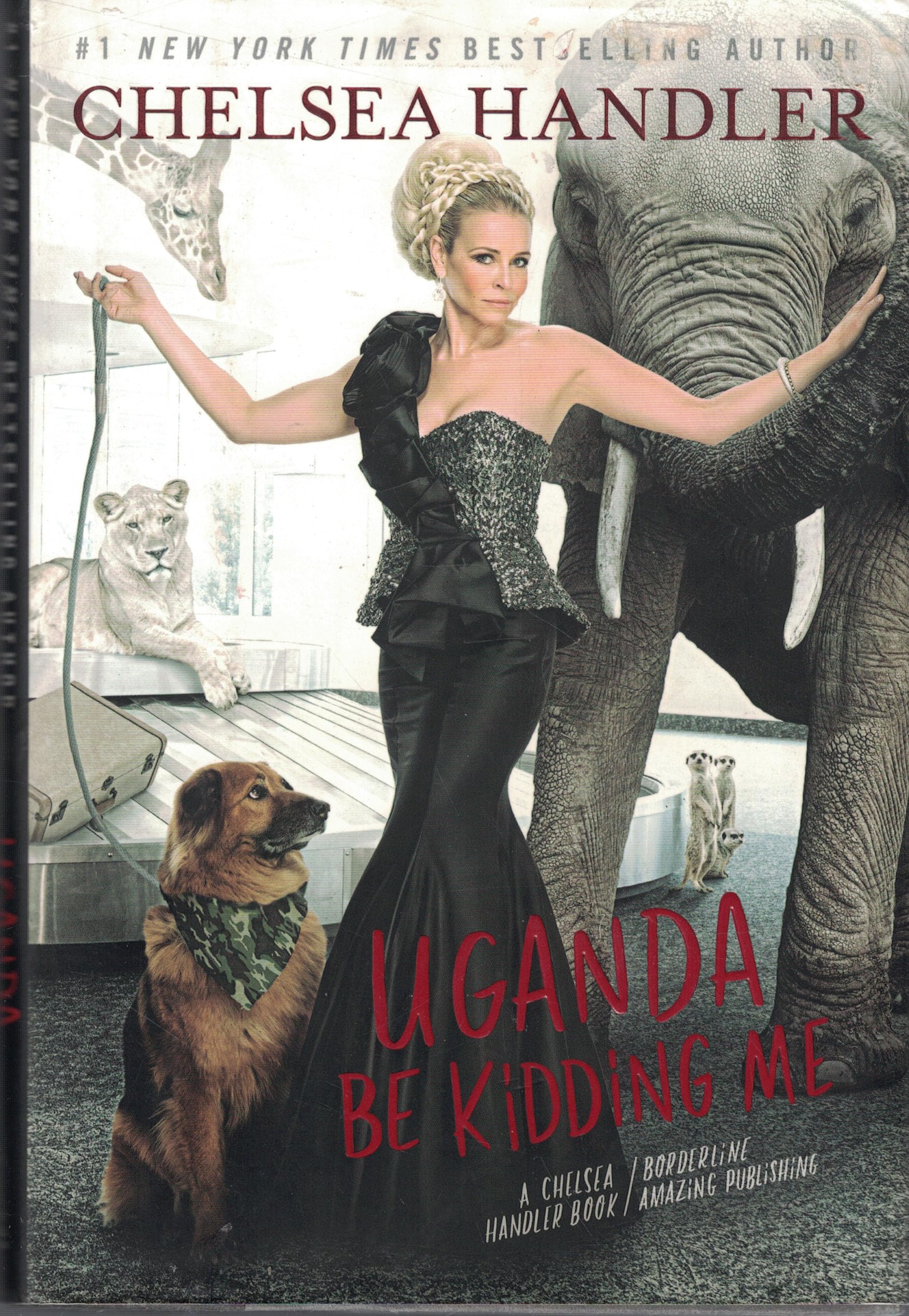 Uganda Be Kidding Me,New