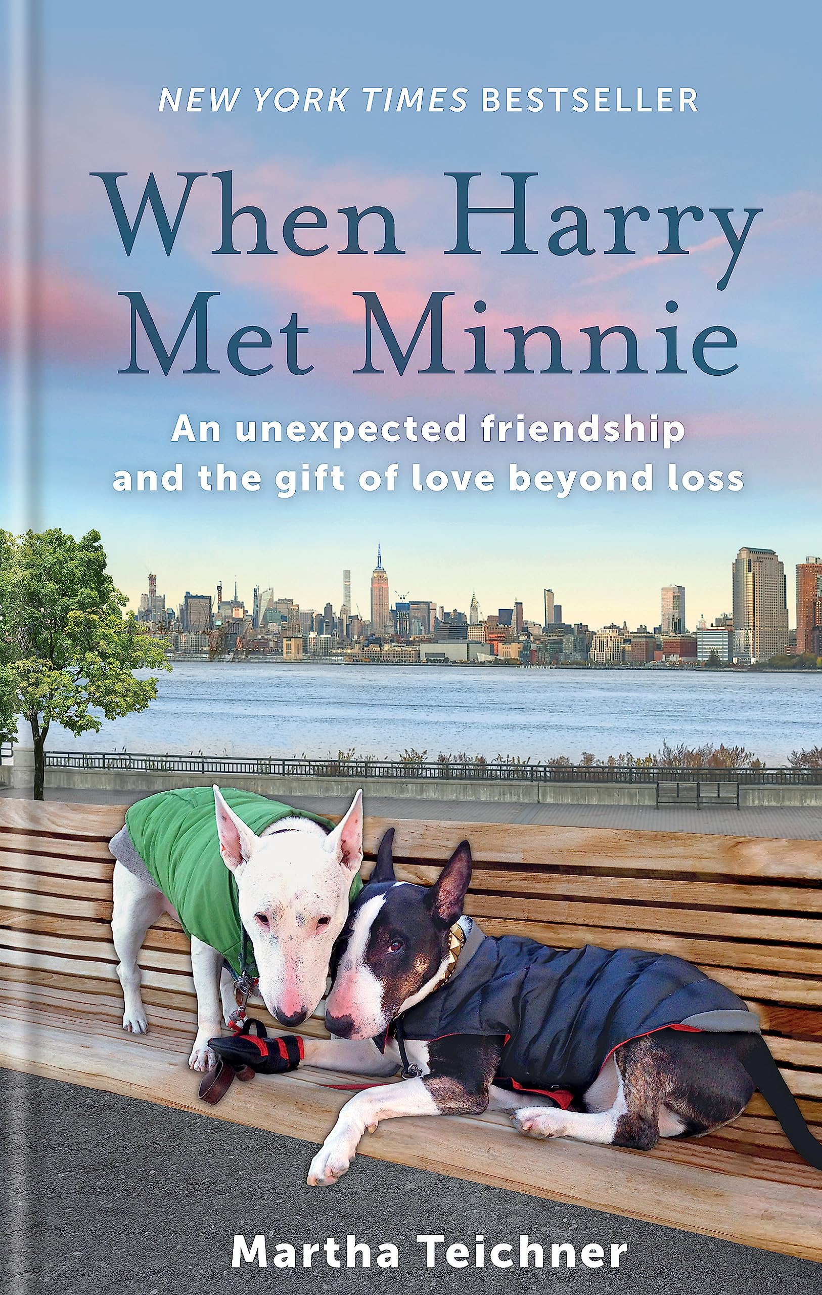 When Harry Met Minnie: An Unexpected Friendship And The Gift Of Love Beyond Loss