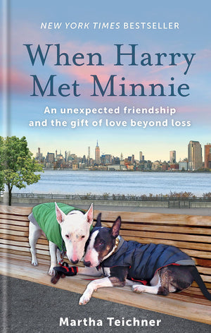 When Harry Met Minnie: An Unexpected Friendship And The Gift Of Love Beyond Loss