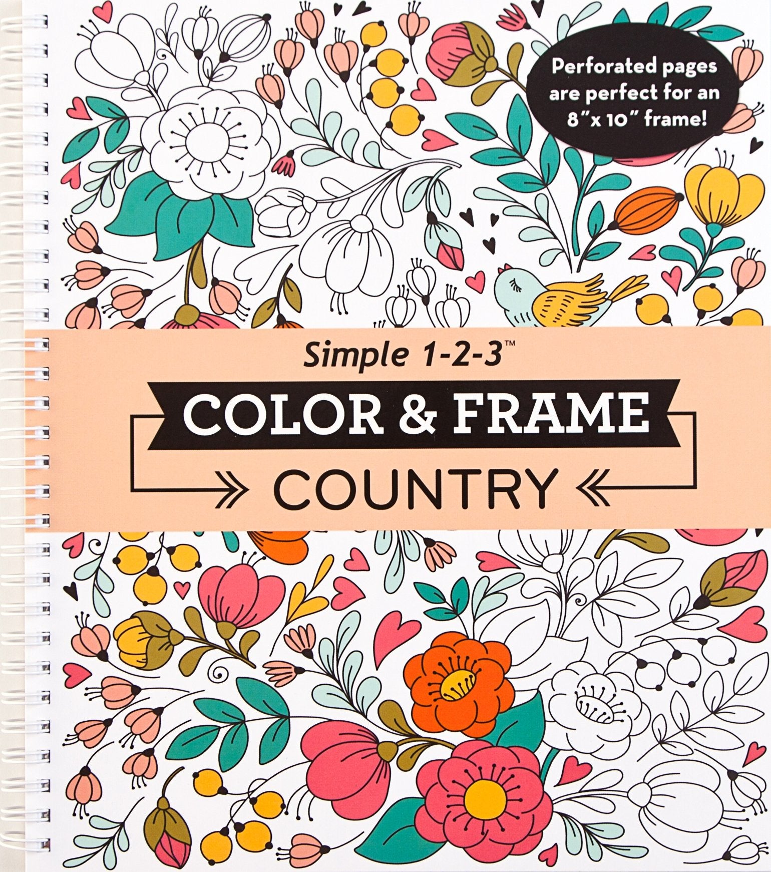 Color & Frame  Country (Adult Coloring Book),Used
