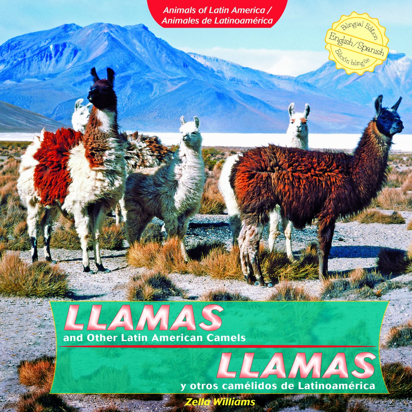 Llamas and Other Latin American Camels / Llamas y otros camelidos de Latinoamerica (Animals of Latin America / Animales De Latin,Used