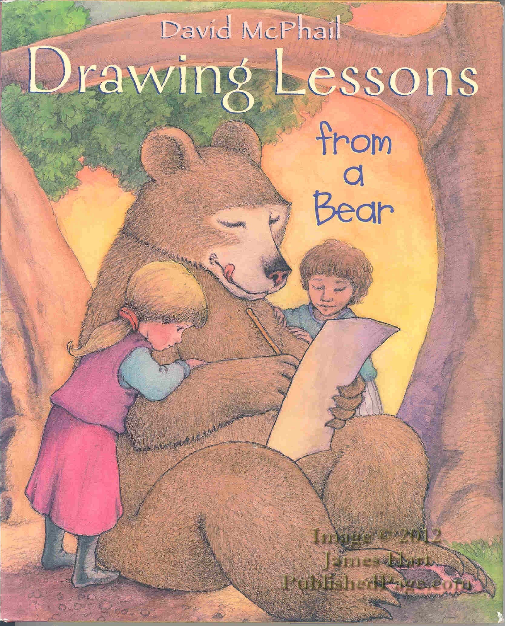 Drawing Lessons from a Bear,Used