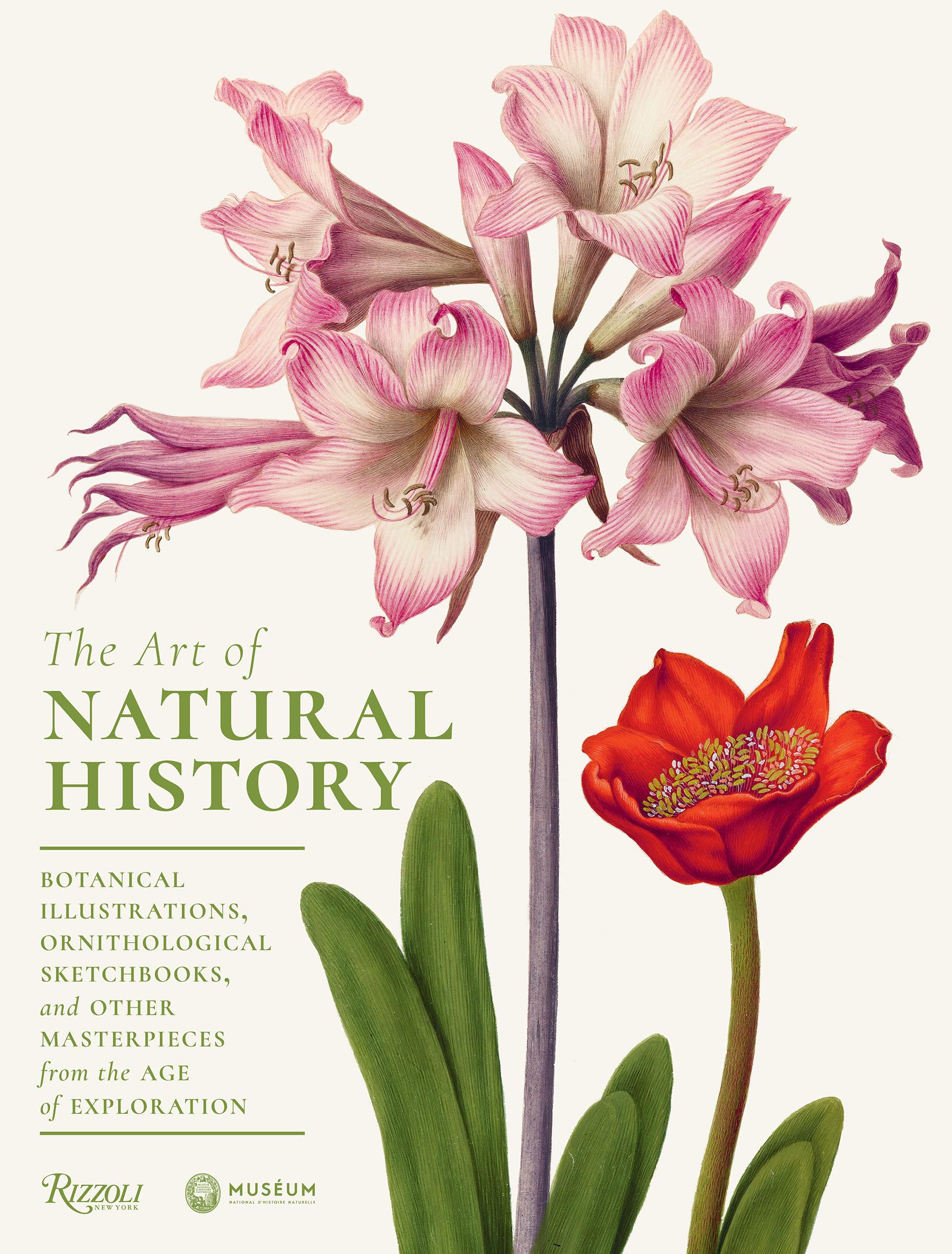 The Art Of Natural History: Botanical Illustrations, Ornithological Drawings, And Other Masterpieces From The Age Of Exploration