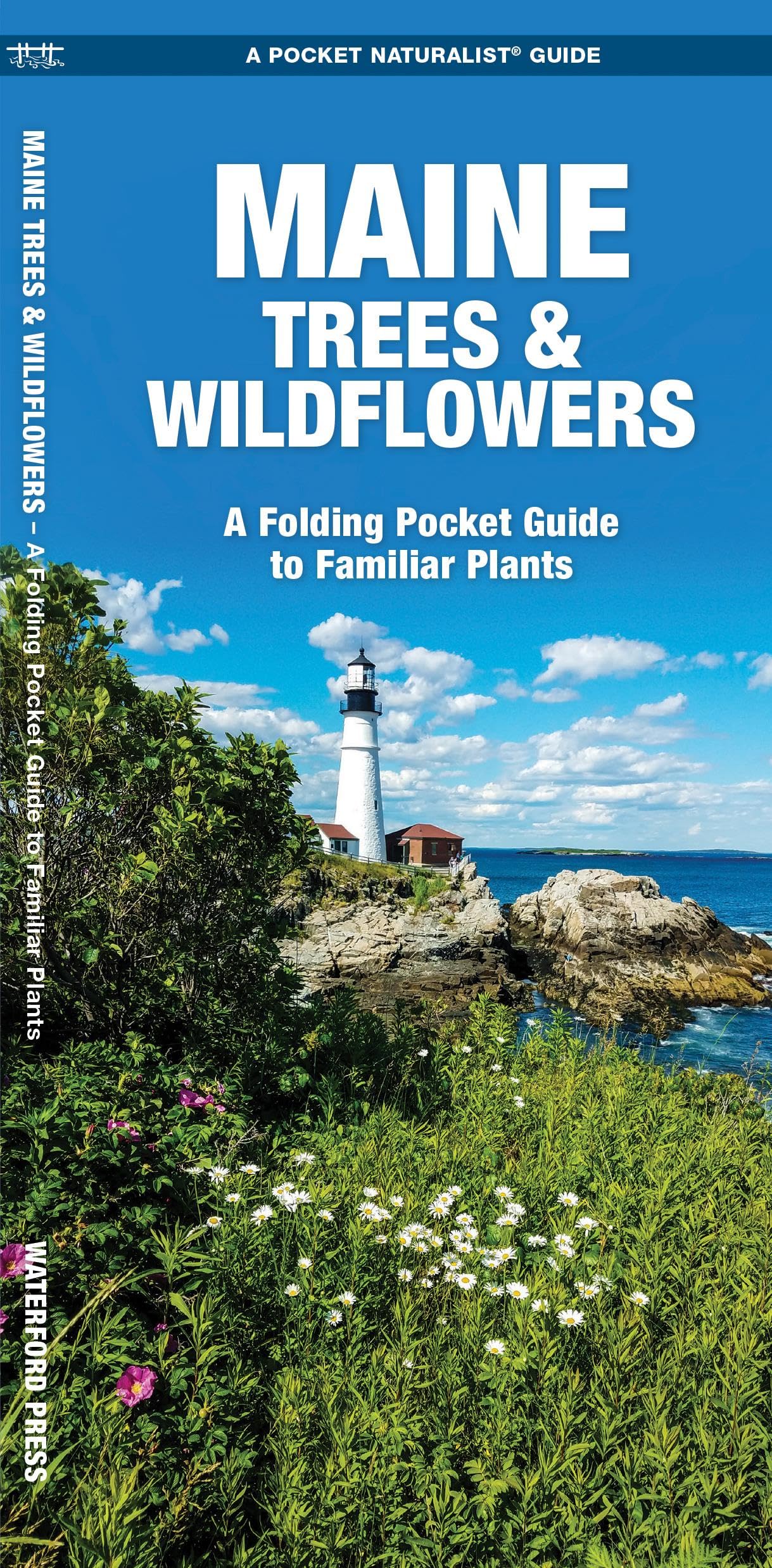 Maine Trees & Wildflowers: A Folding Pocket Guide to Familiar Plants (Wildlife and Nature Identification),Used
