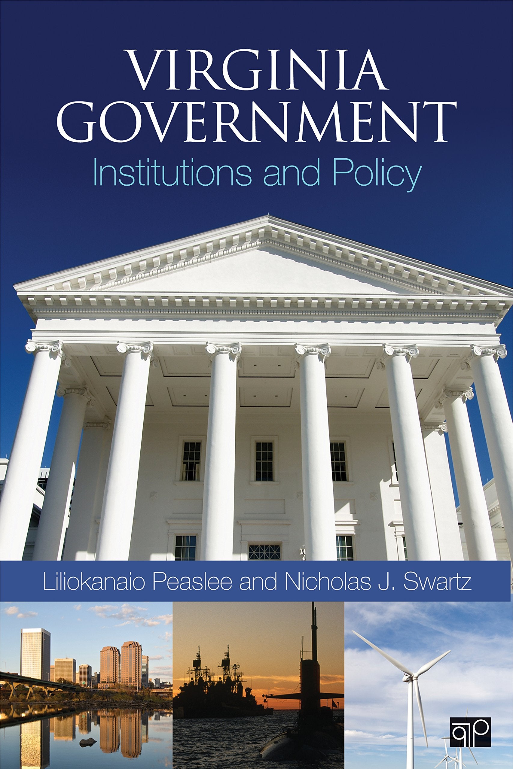 Virginia Government: Institutions and Policy,New