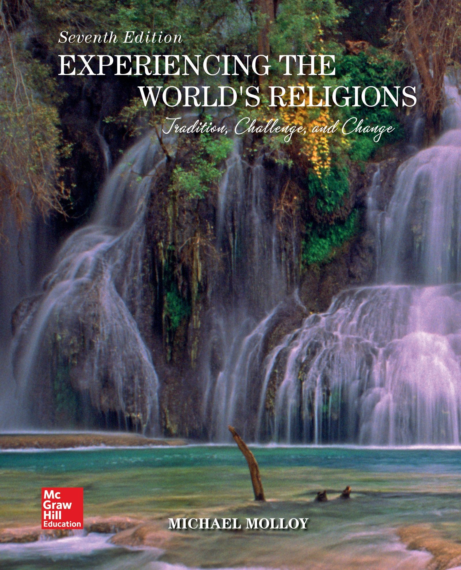 Looseleaf For Experiencing The World'S Religions: Tradition, Challenge, And Change,Used