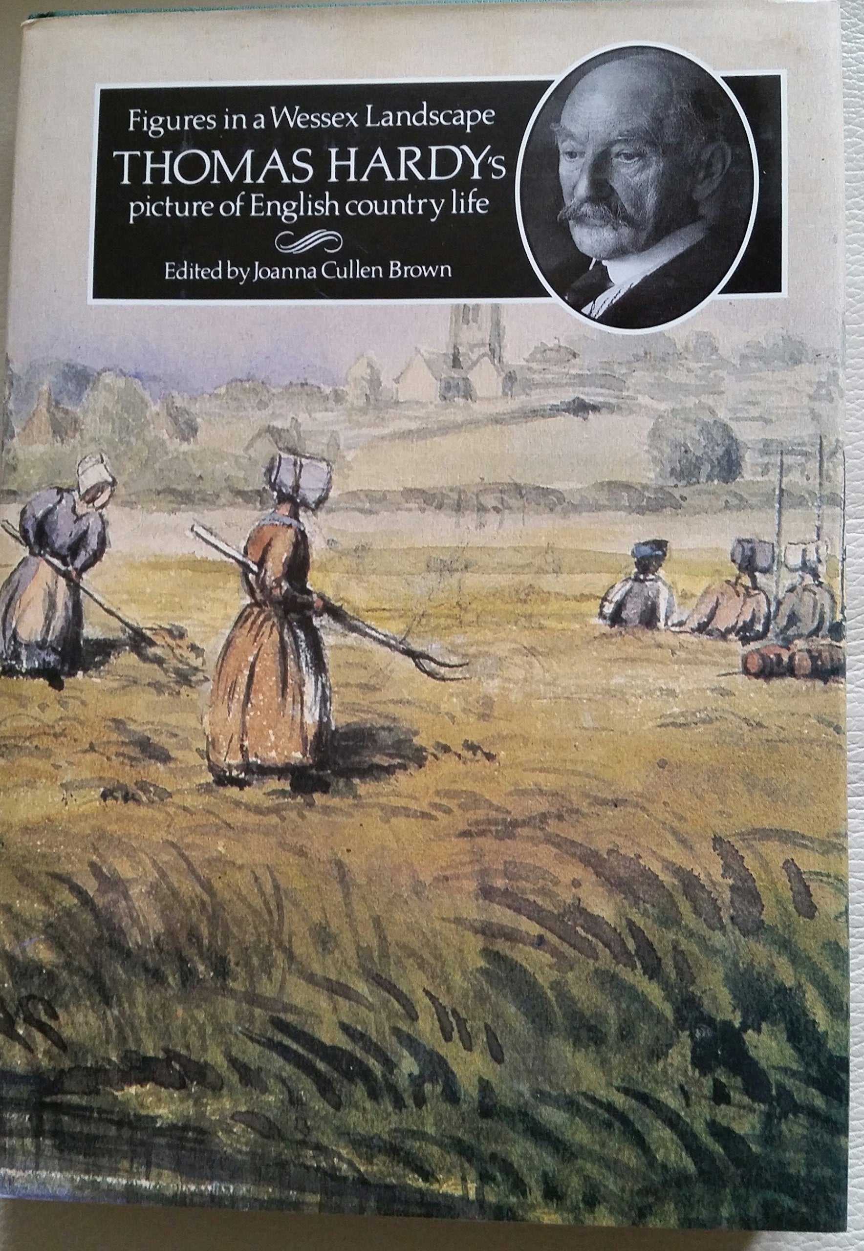 Figures in a Wessex Landscape: Thomas Hardy's Picture of English Country Life,Used