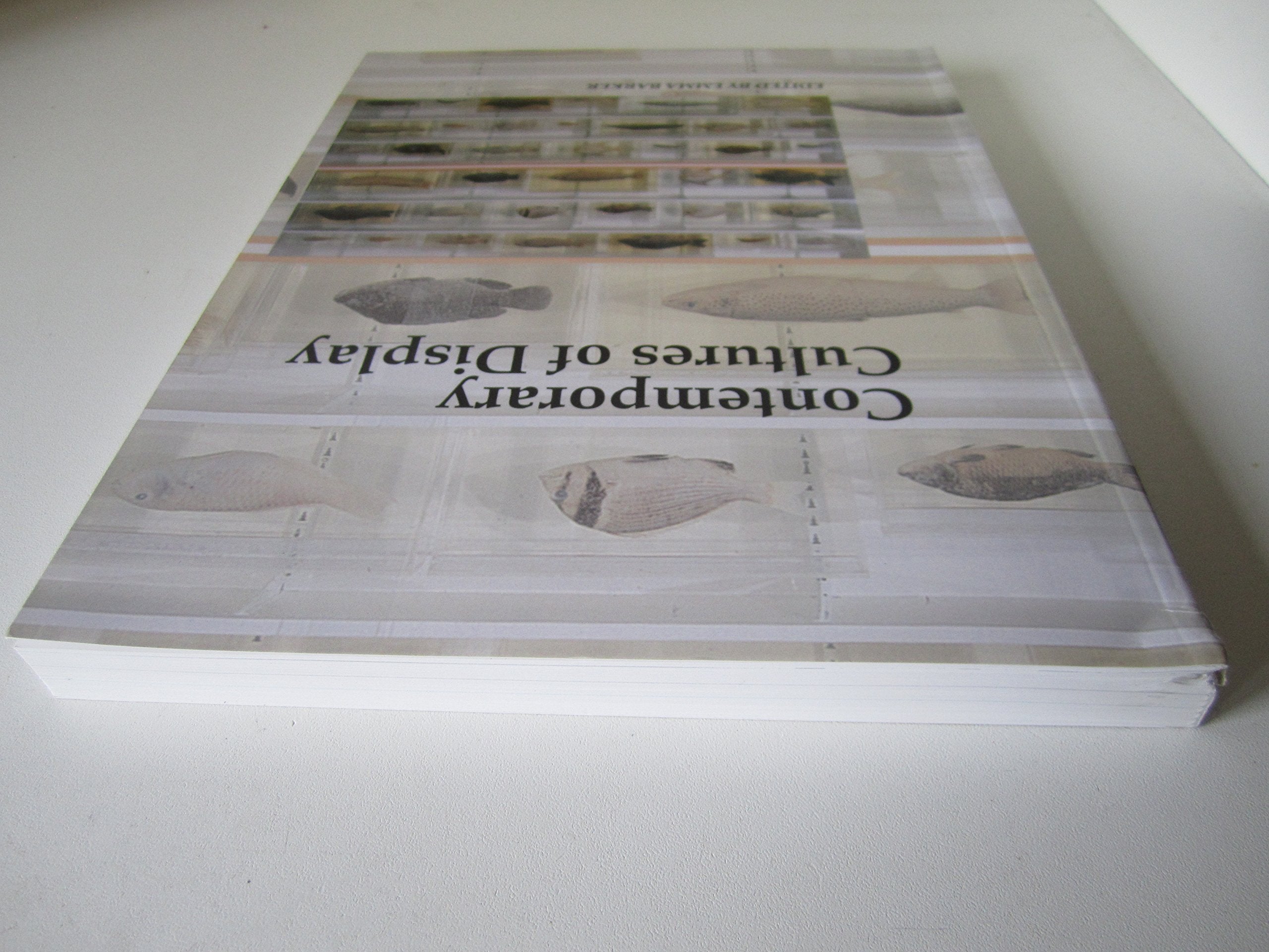 Contemporary Cultures Of Display (Art And Its Histories Series),New