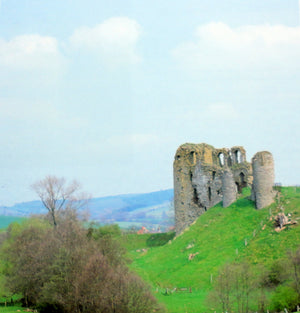 Strongholds and Sanctuaries: The Borderland of England and Wales,Used