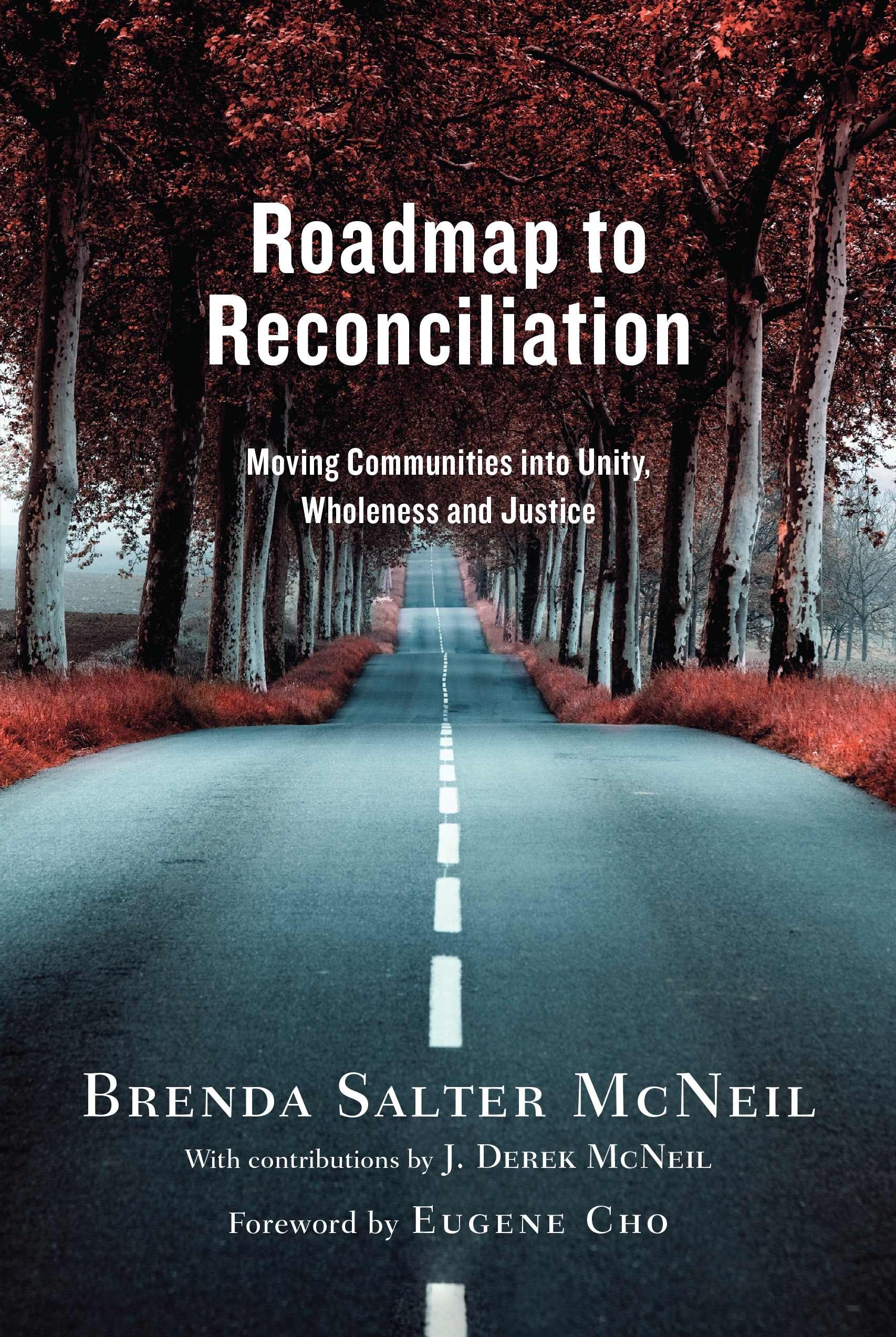 Roadmap to Reconciliation: Moving Communities into Unity, Wholeness and Justice,Used