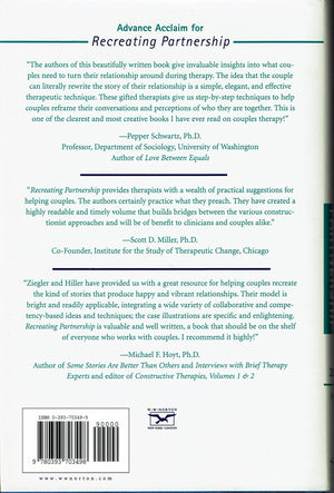 Recreating Partnership: A SolutionOriented, Collaborative Approach to Couples Therapy (Norton Professional Books),Used