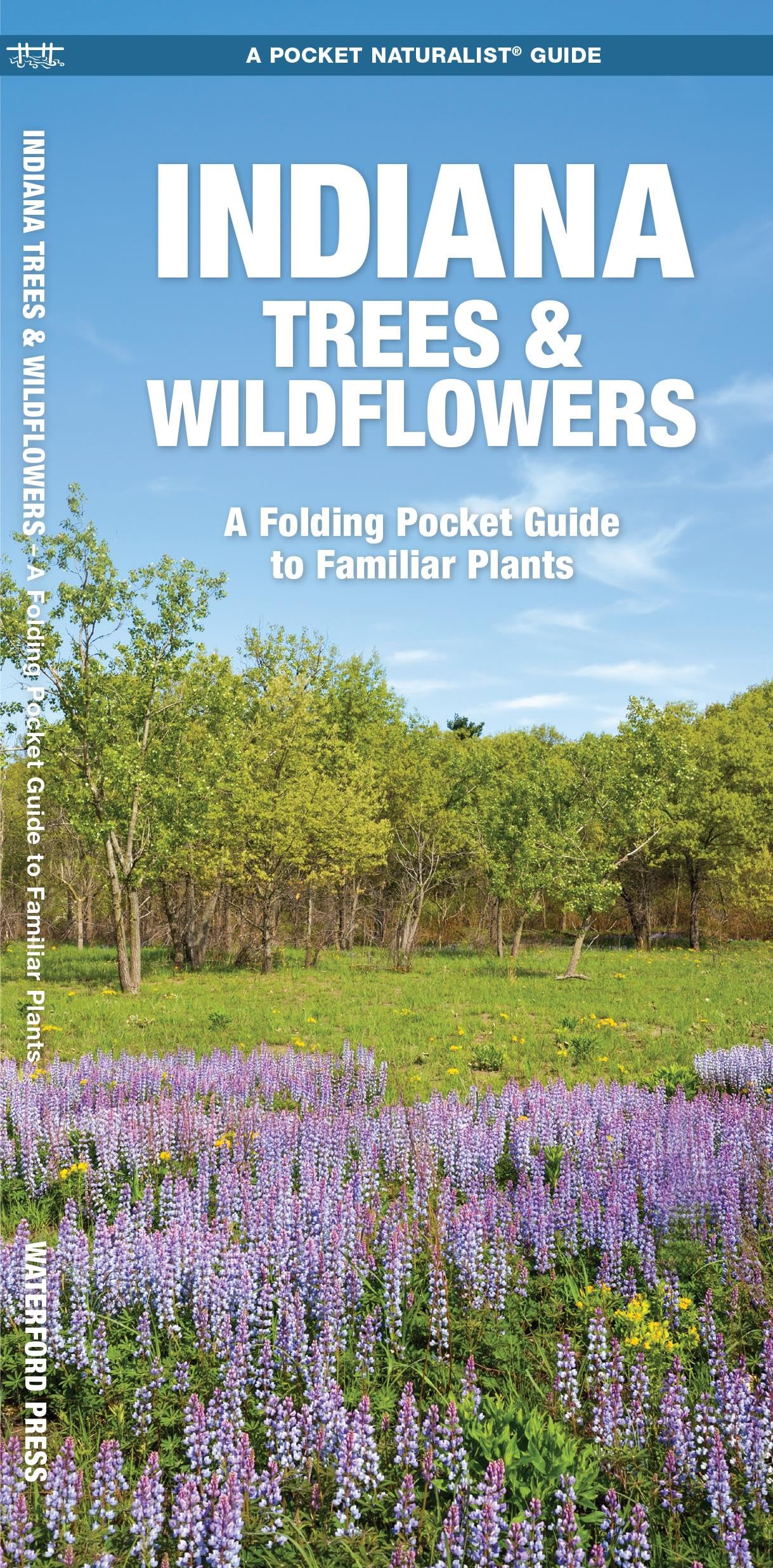 Indiana Trees & Wildflowers: A Folding Pocket Guide to Familiar Plants (Wildlife and Nature Identification),Used