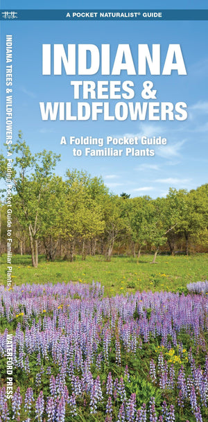 Indiana Trees & Wildflowers: A Folding Pocket Guide to Familiar Plants (Wildlife and Nature Identification),Used