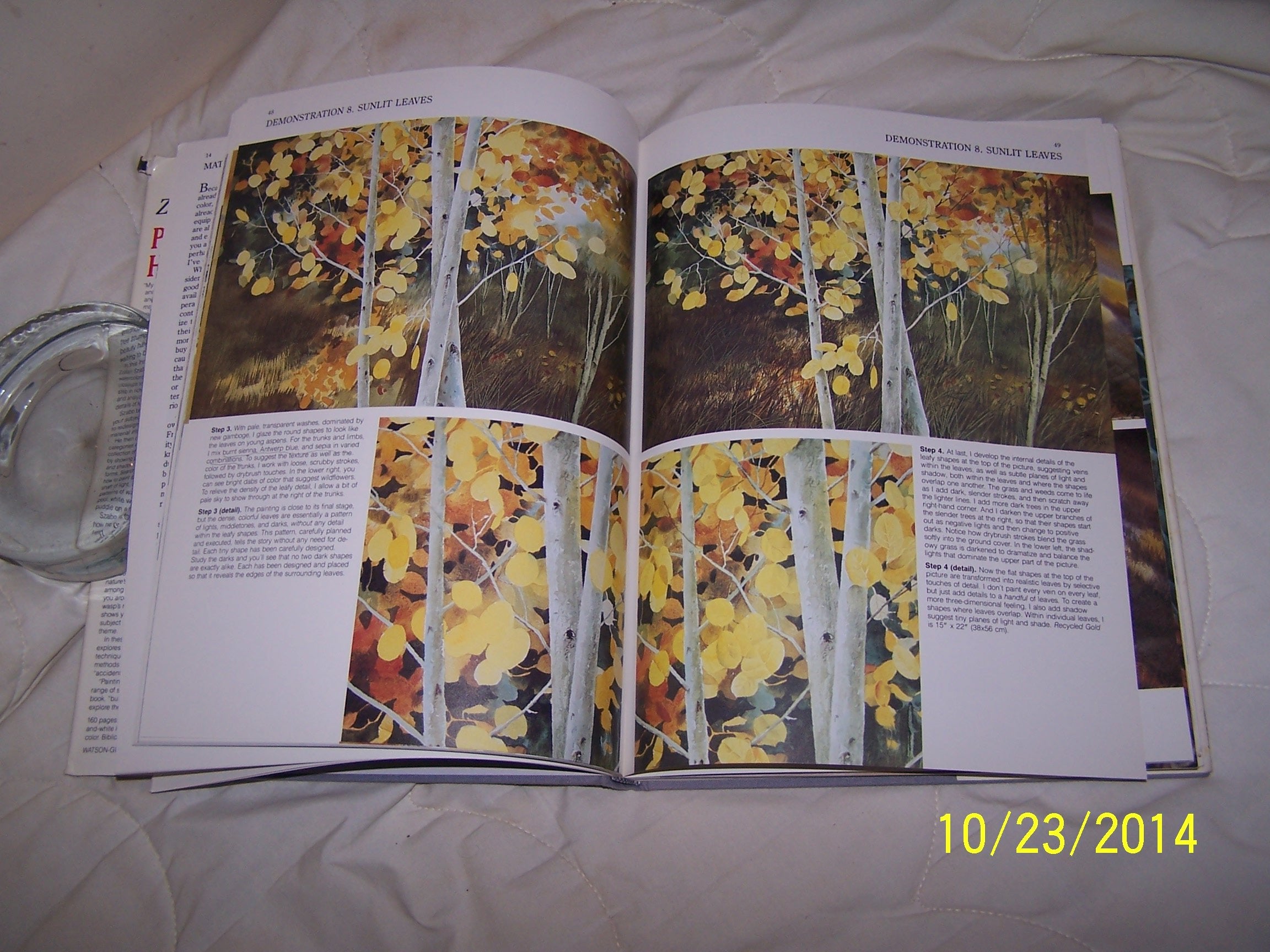 Painting Nature's Hidden Treasures : Advanced Techniques in Watercolor,Used