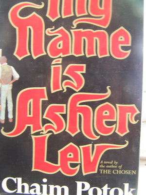 My Name Is Asher Lev,Used