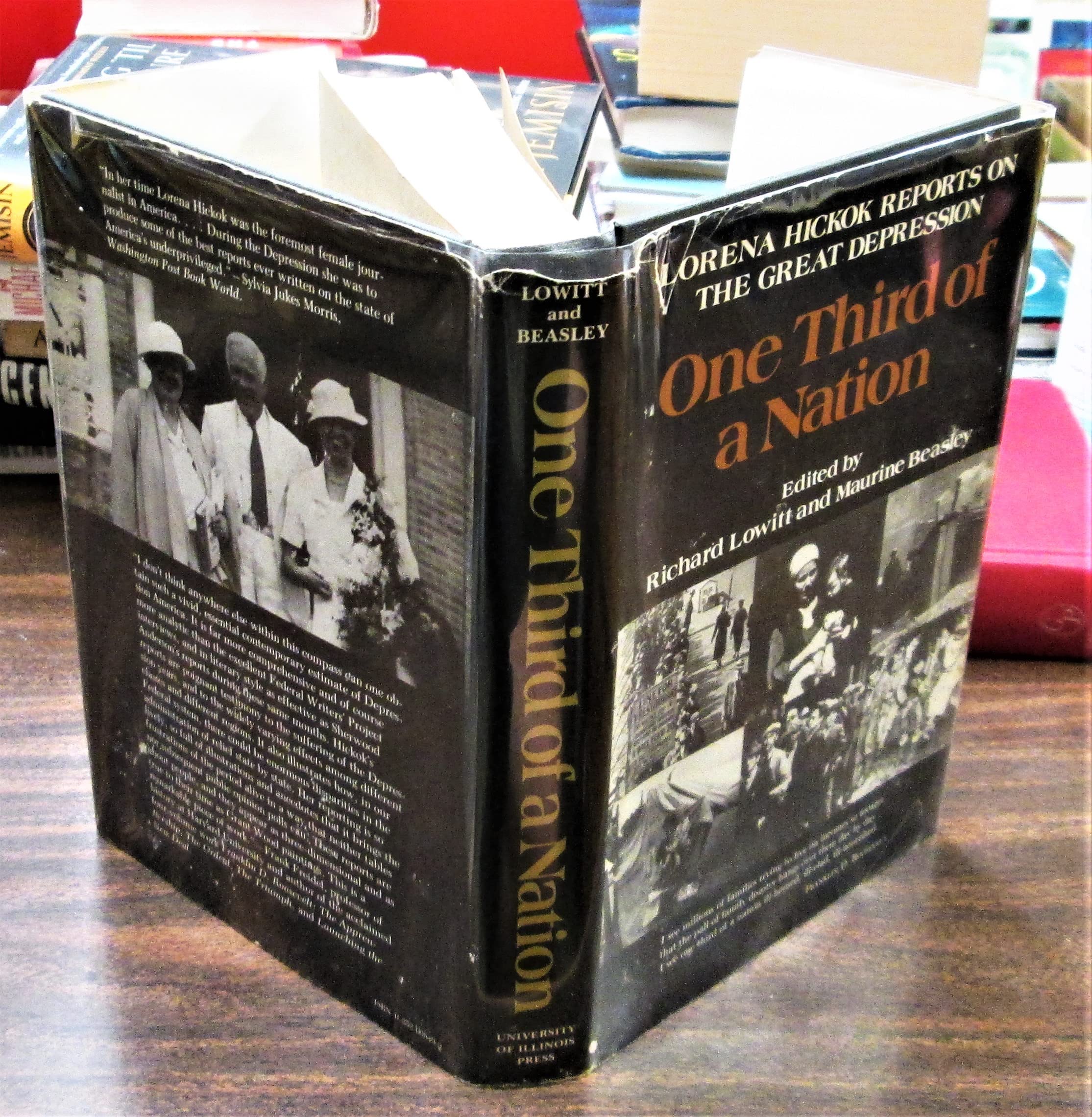 One Third of a Nation: Lorena Hickok Reports on the Great Depression,Used