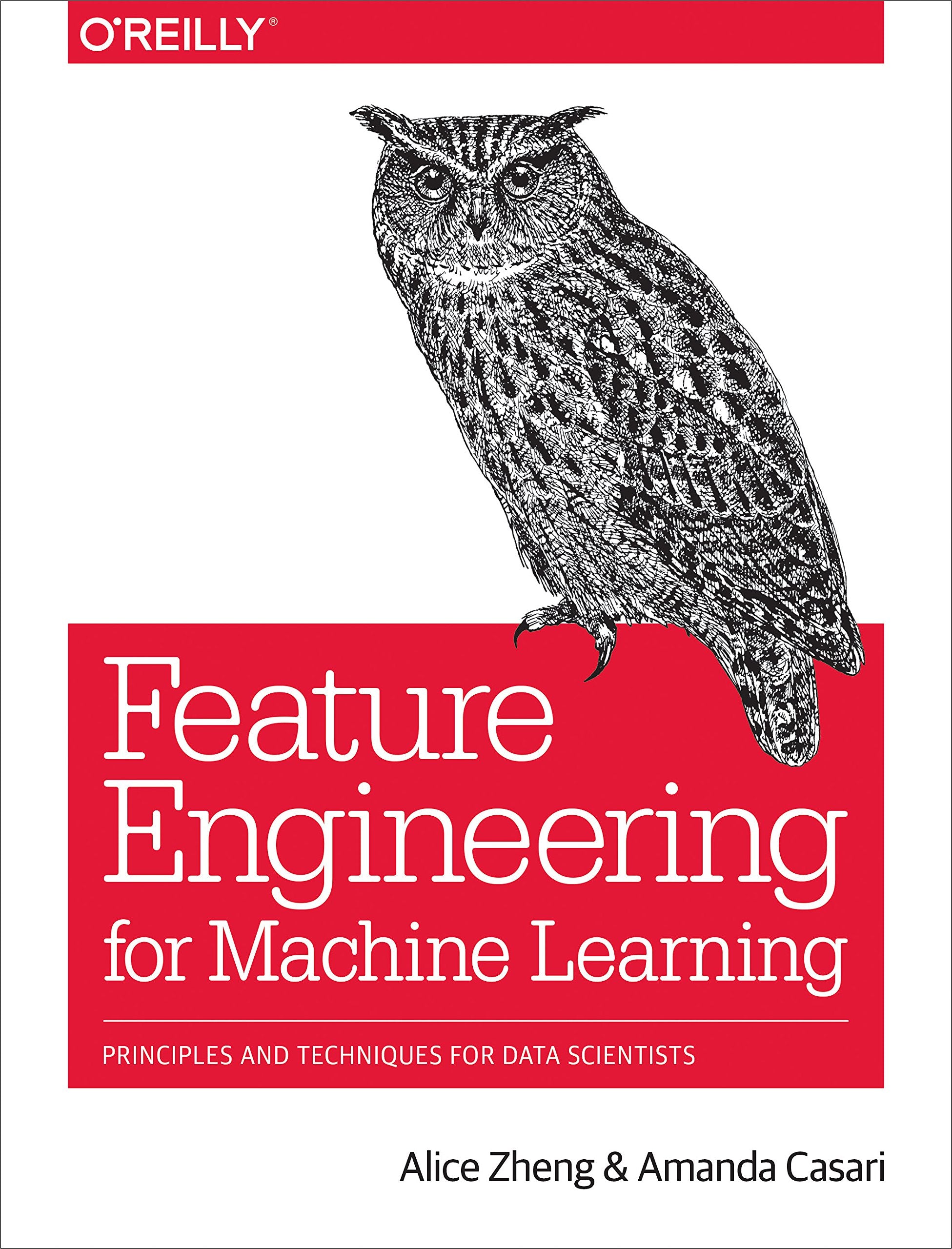 Feature Engineering For Machine Learning: Principles And Techniques For Data Scientists