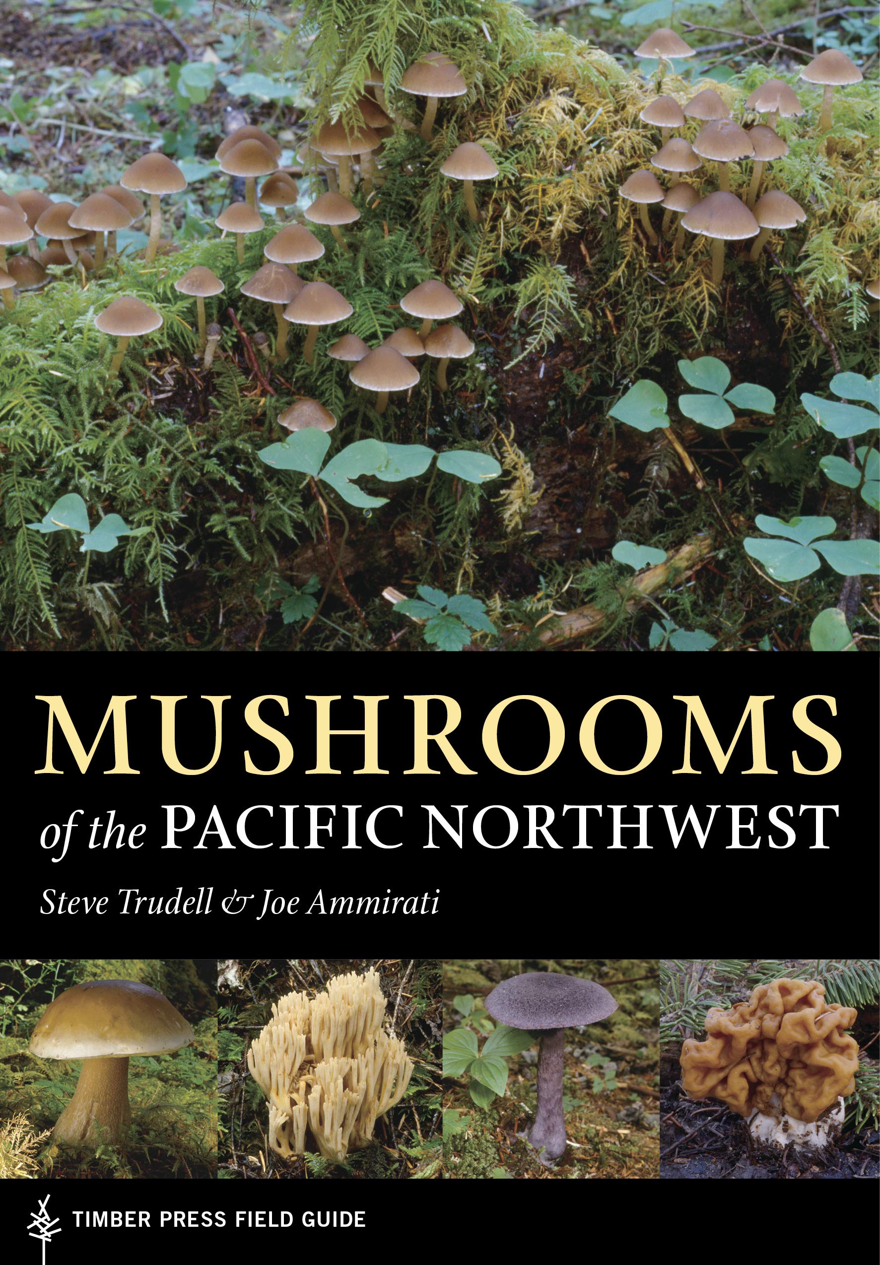 Mushrooms Of The Pacific Northwest (A Timber Press Field Guide),New