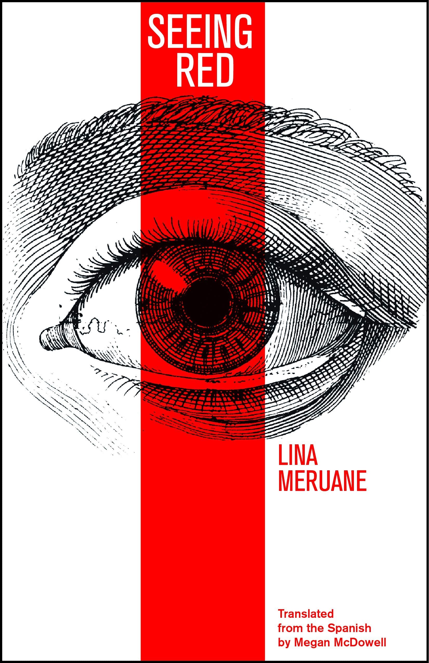 Seeing Red: An Anger Management and Peacemaking Curriculum for Kids,Used