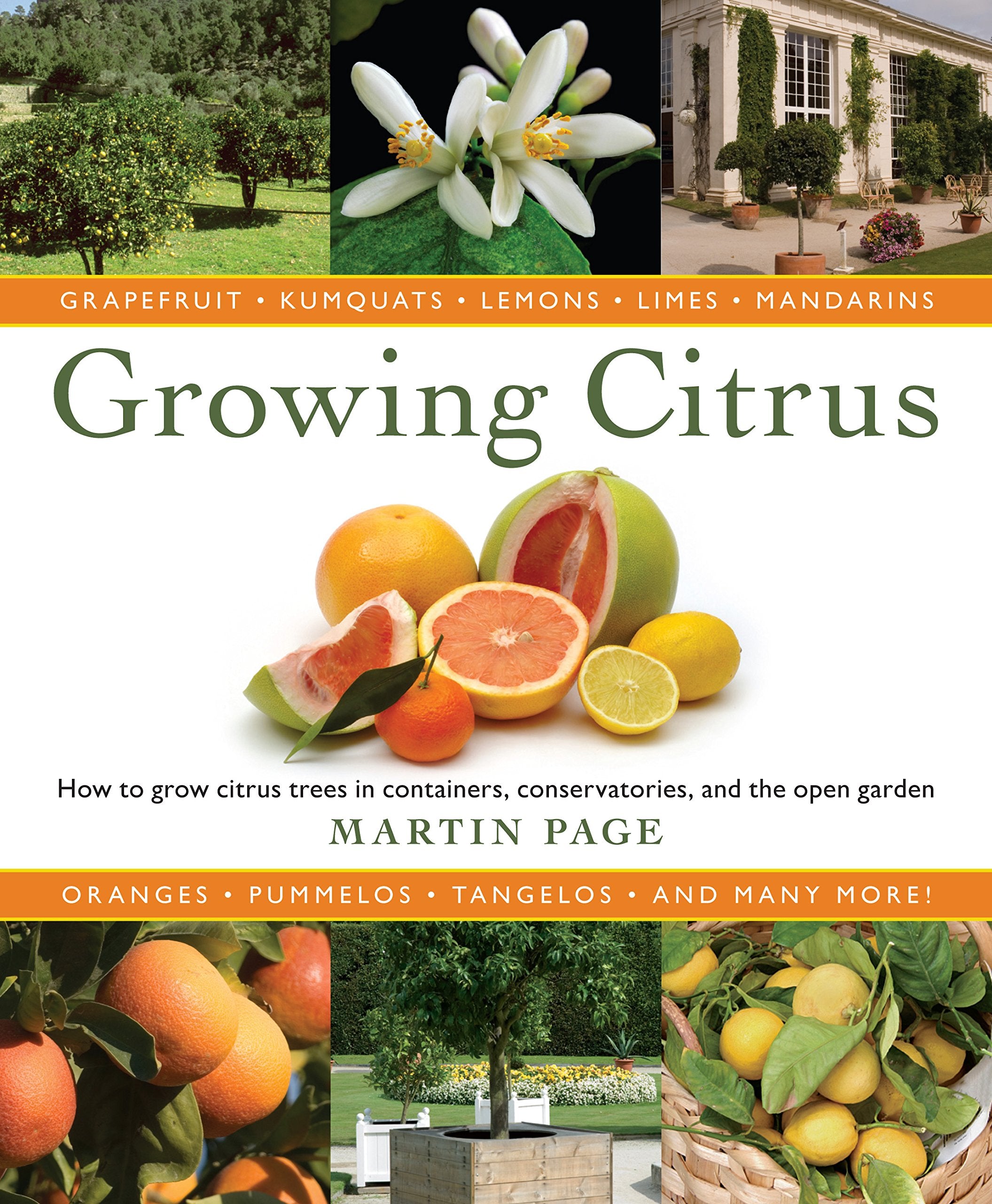 Growing Citrus: The Essential Gardener's Guide,Used