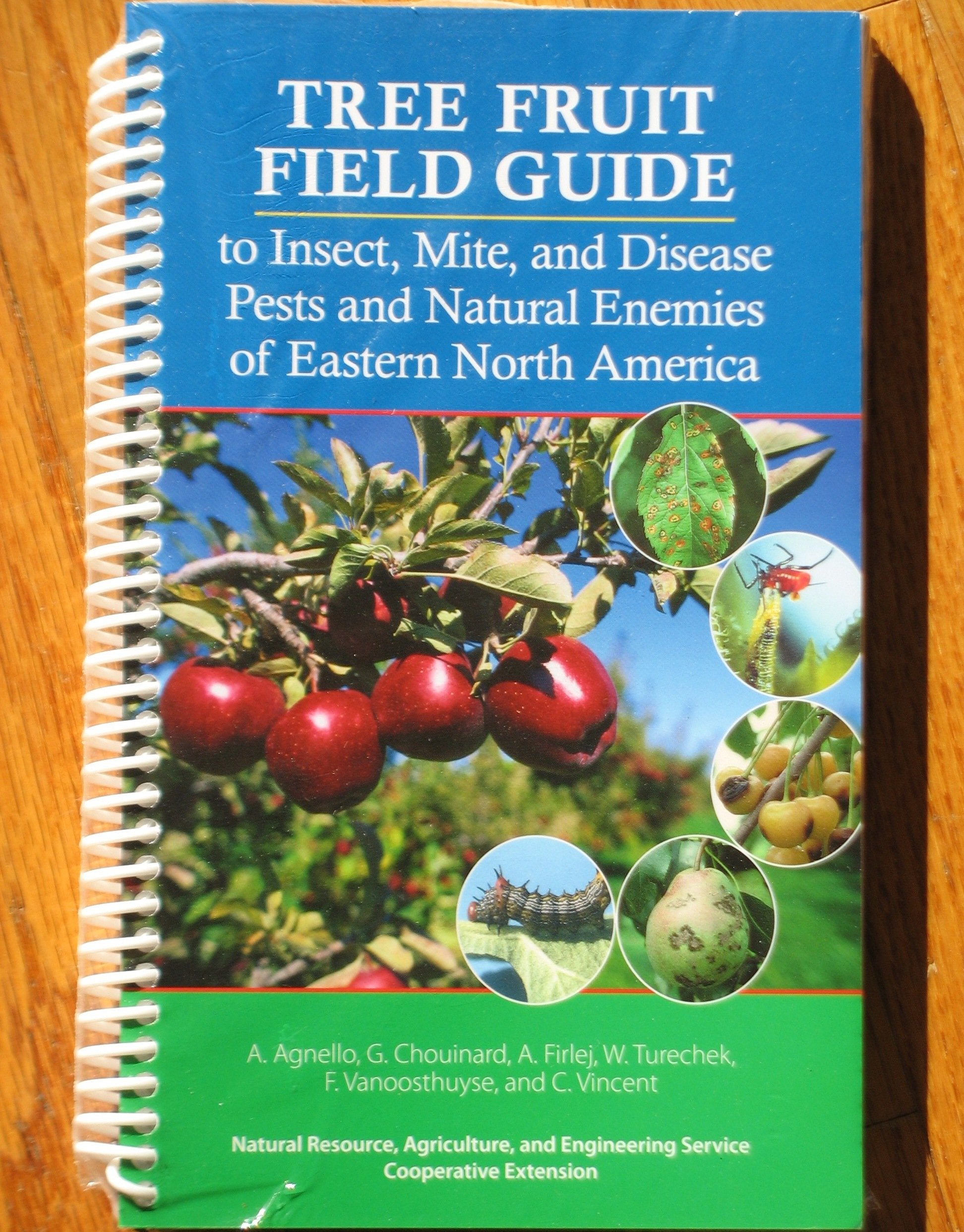 Tree Fruit Field Guide to Insect, Mite, and Disease Pests and Natural Enemies of Eastern North America,New