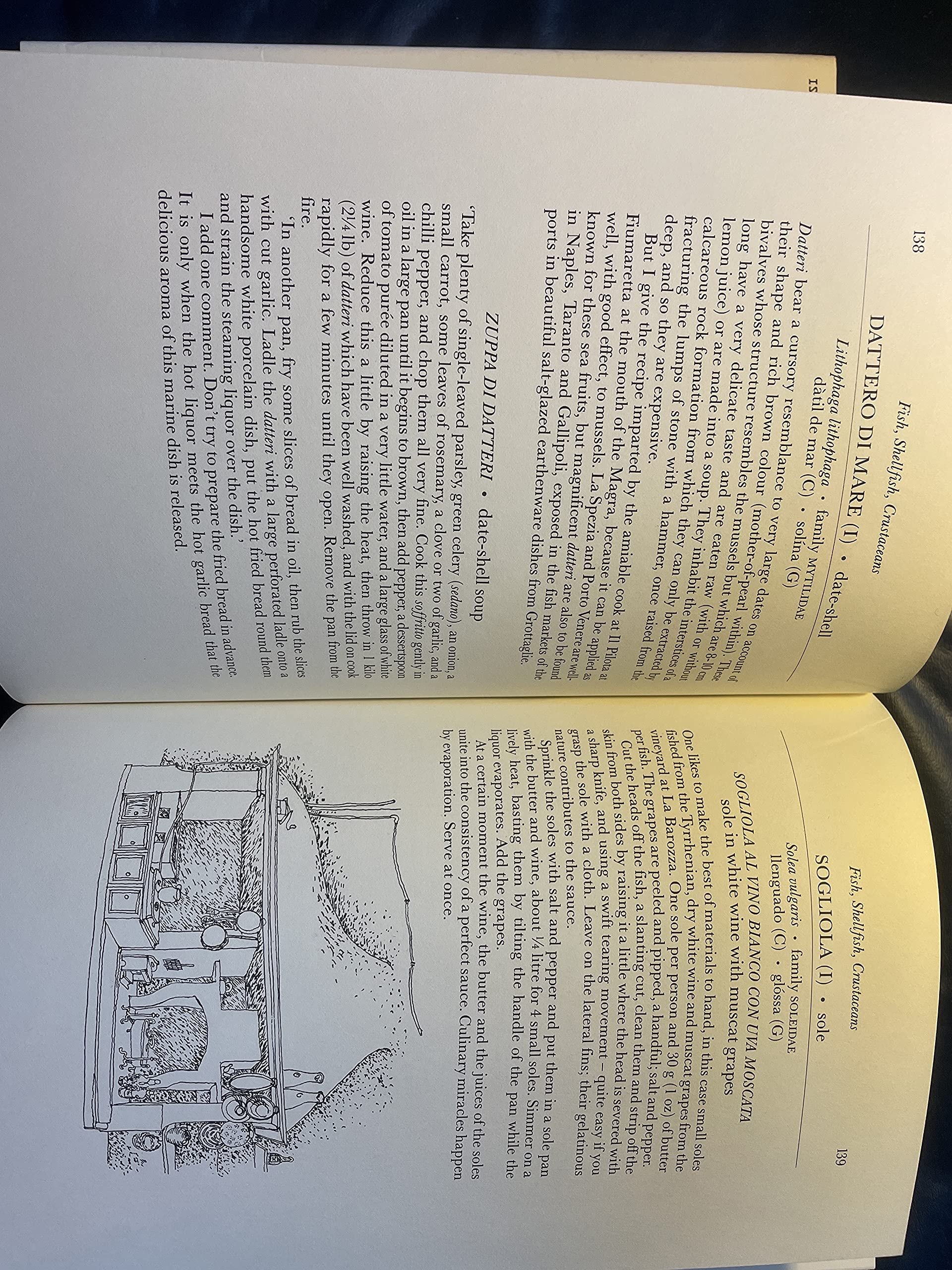 Honey From A Weed: Fasting And Feasting In Tuscany, Catalonia, The Cyclades And Apulia,Used