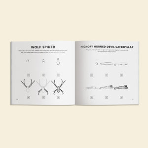 Bugs: How to Draw Books for Kids