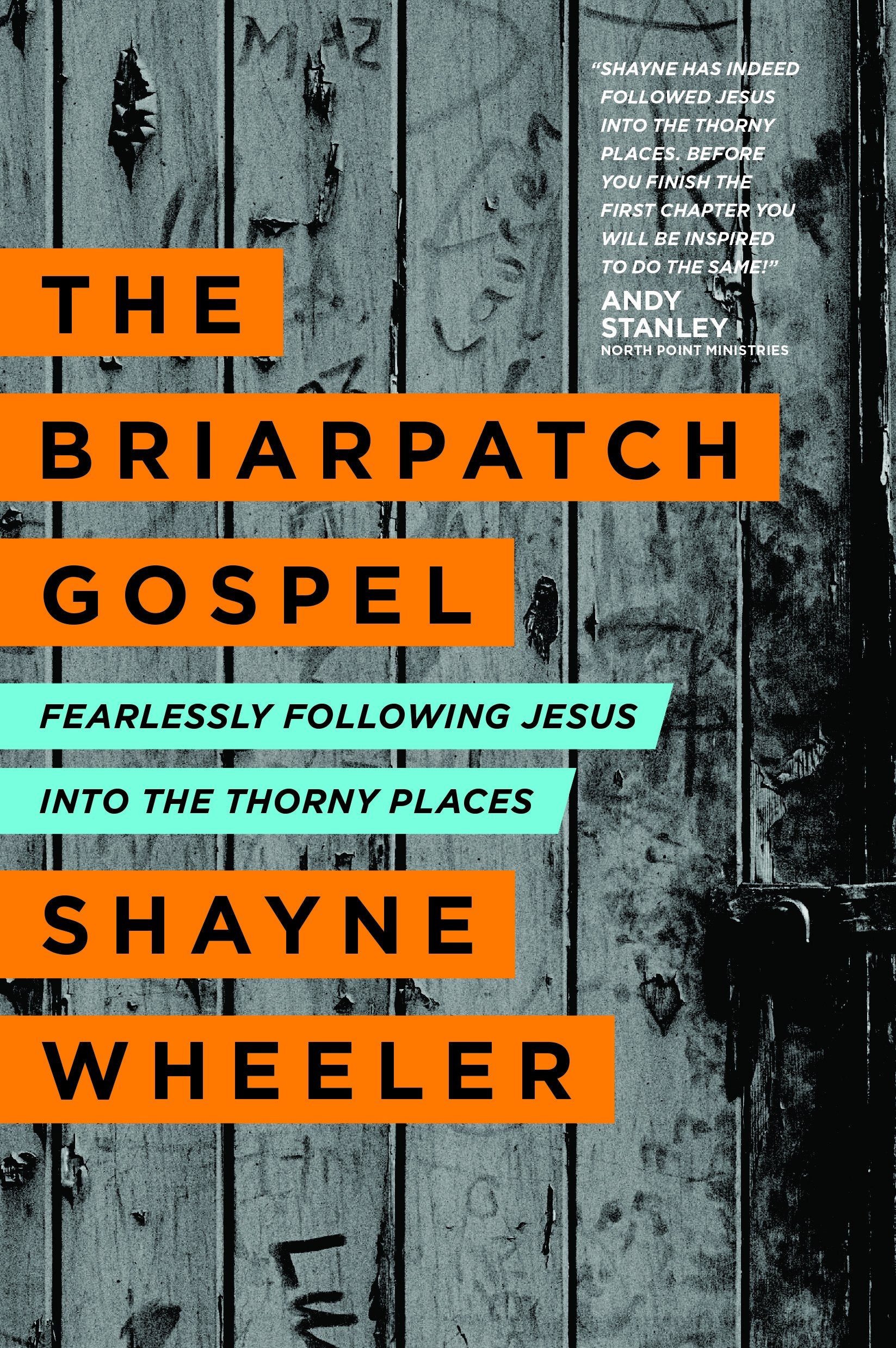 The Briarpatch Gospel: Fearlessly Following Jesus into the Thorny Places,Used