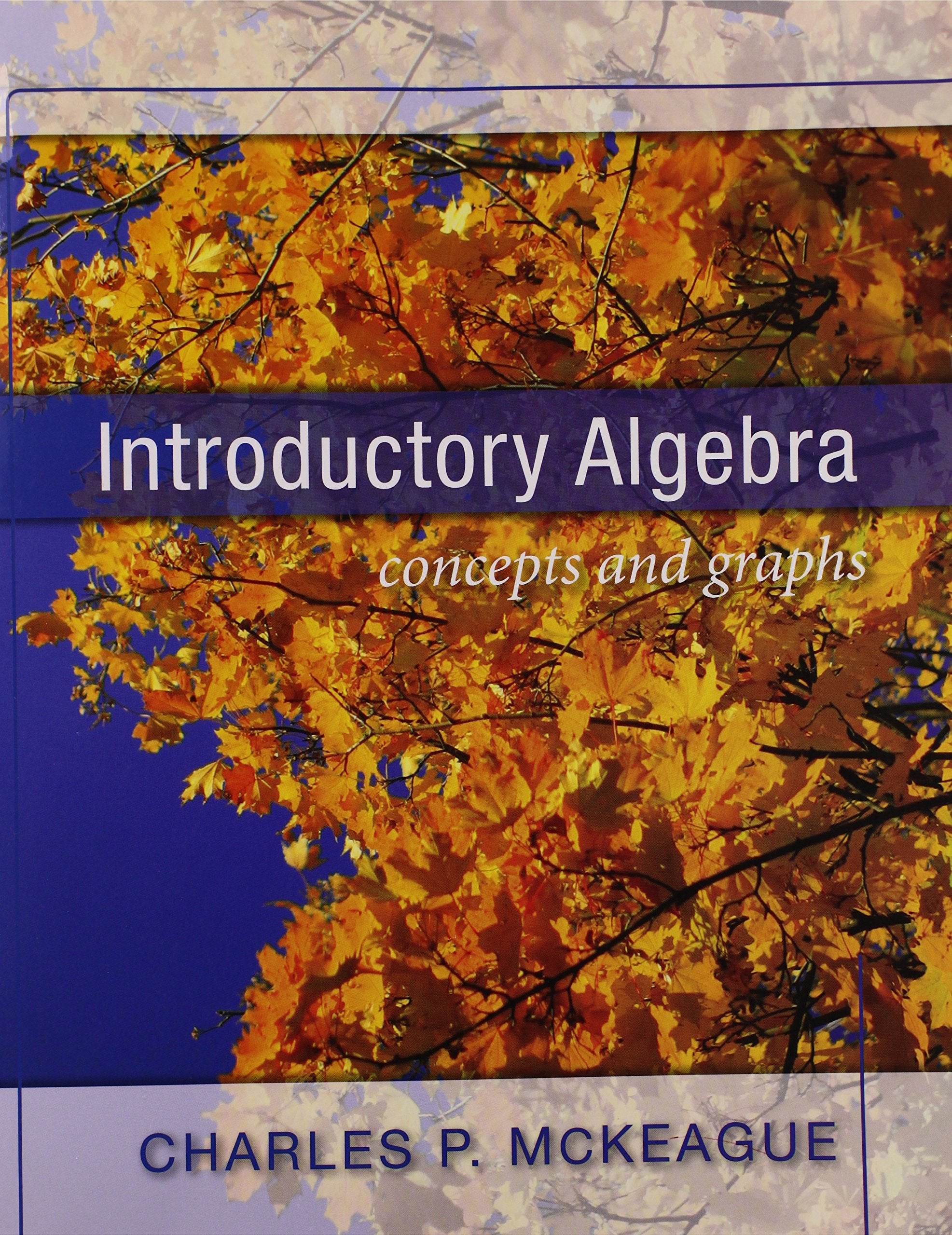 Introductory Algebra Concepts and Graphs,New