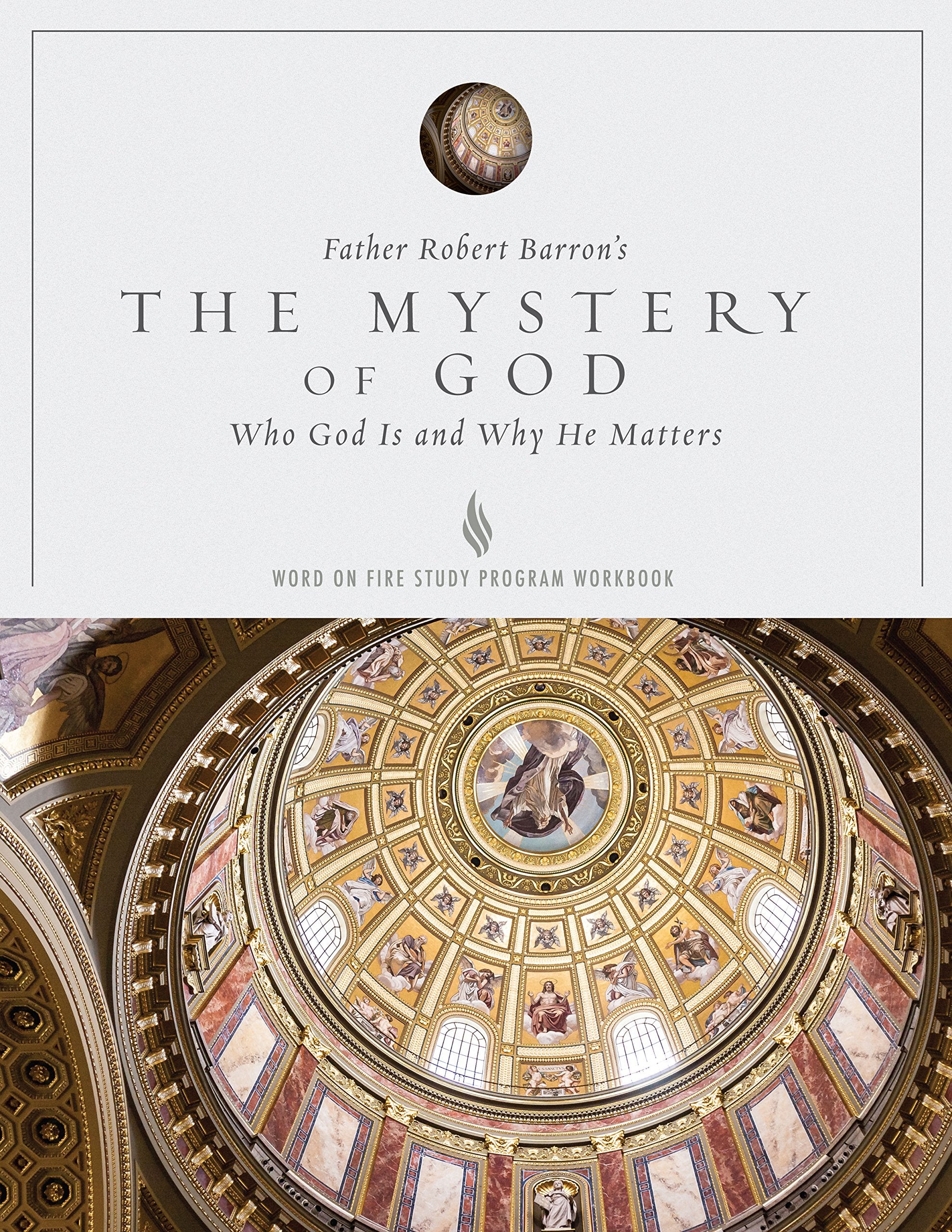 The Mystery of God Study Guide,Used