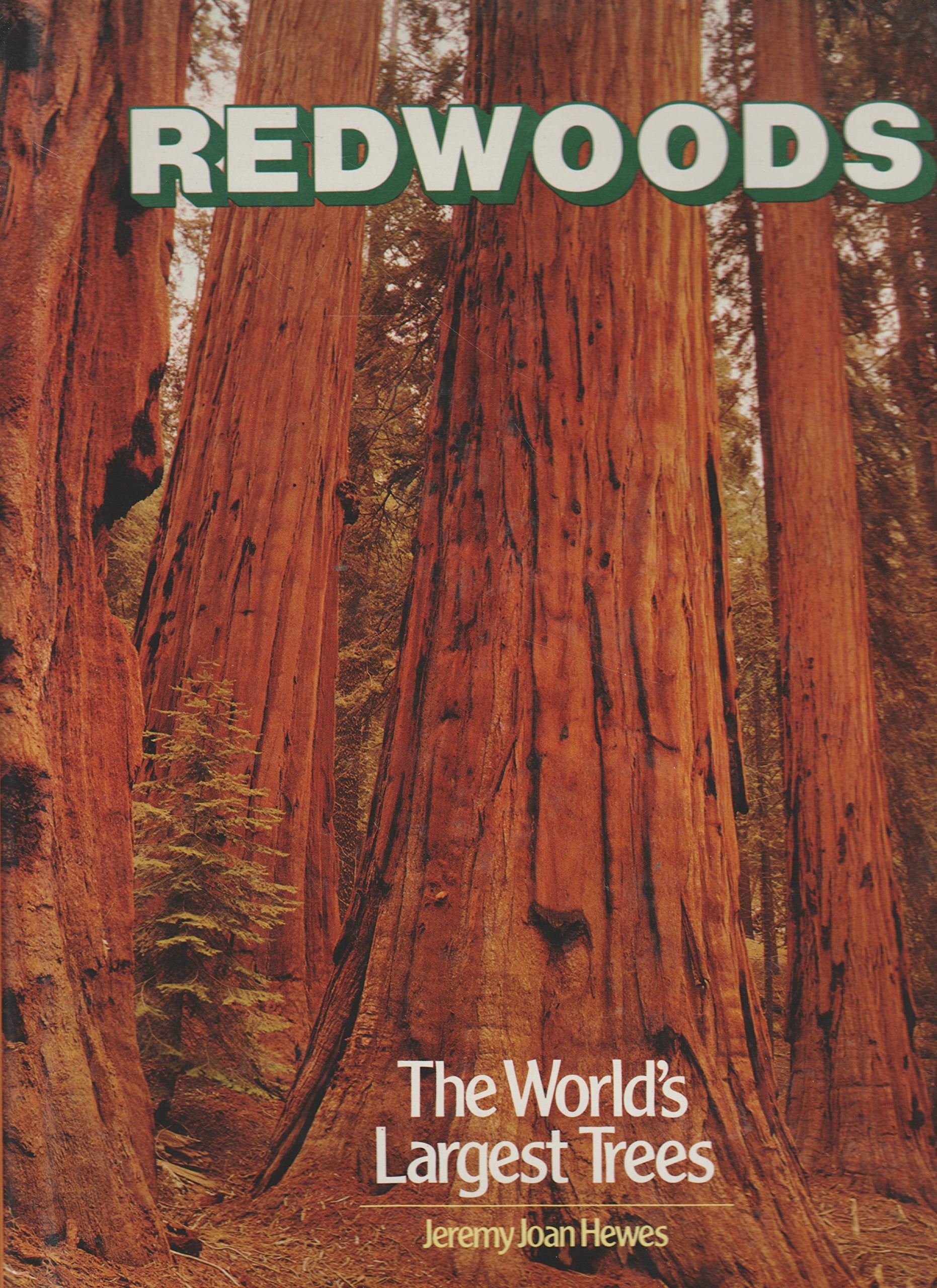 Redwoods: The World'S Largest Trees,Used